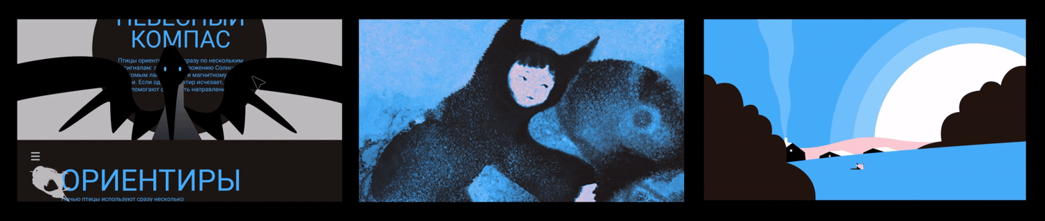 ПТИЦЫ | ИЛЛЮСТРАТИВНЫЙ МОУШЕН-ШОУРИЛ — Изображение №5 — Иллюстрация, Анимация на Dprofile