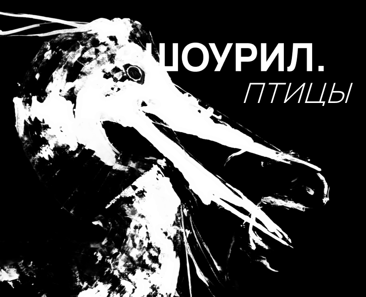 ПТИЦЫ | ИЛЛЮСТРАТИВНЫЙ МОУШЕН-ШОУРИЛ — Иллюстрация, Анимация на Dprofile