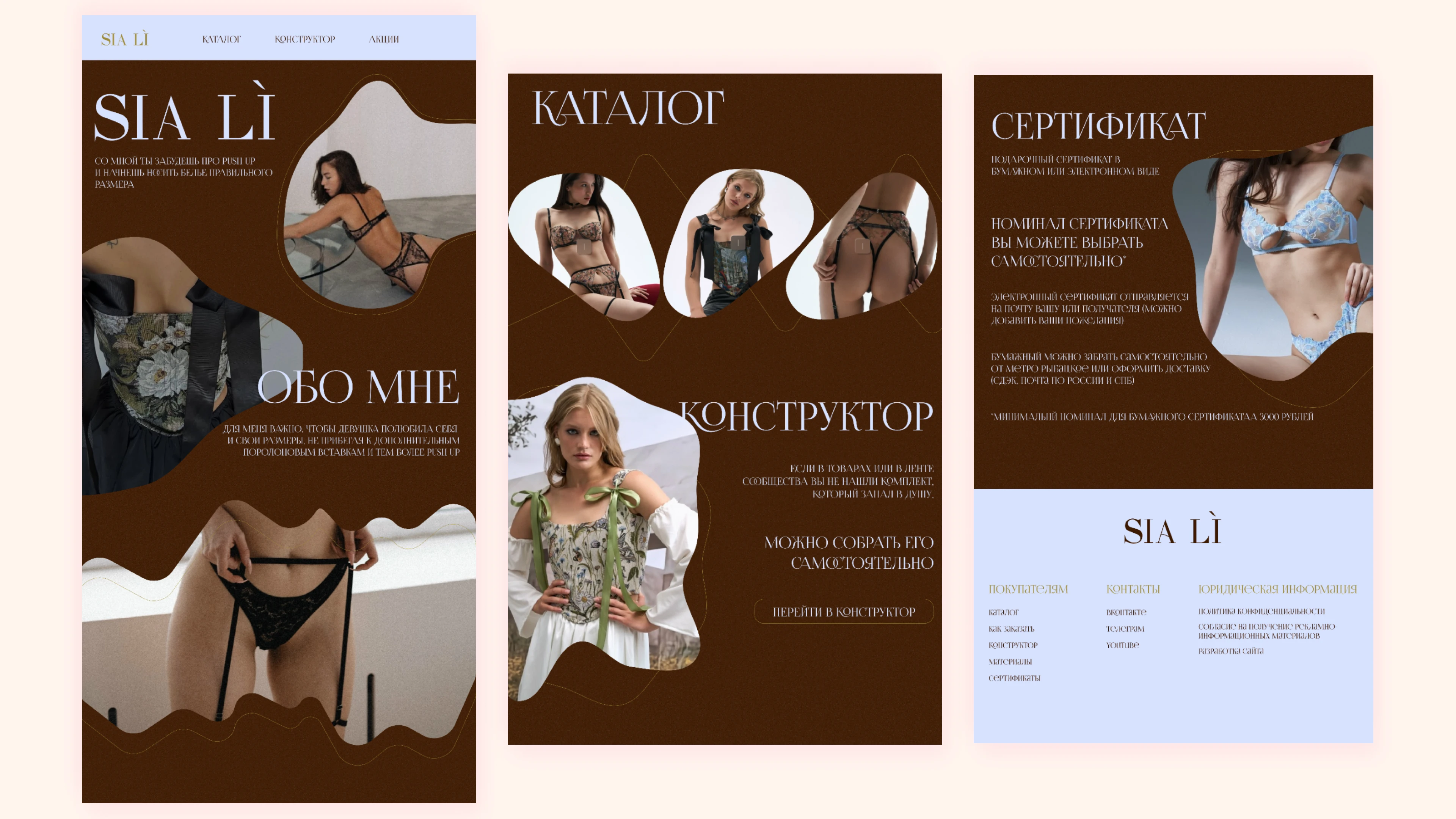 Портфолио веб-дизайнер — Изображение №8 — Интерфейсы, Брендинг на Dprofile