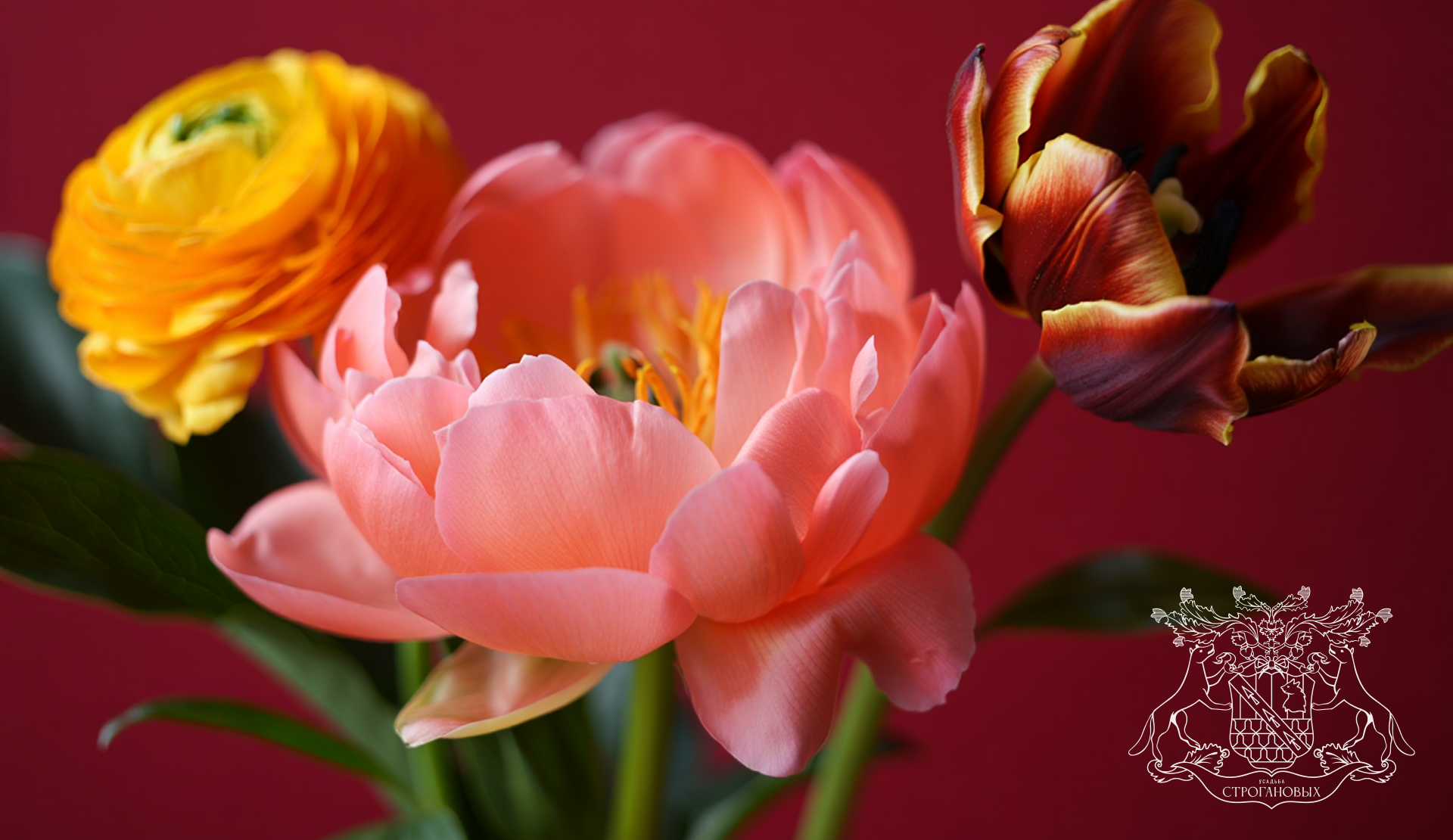 Усадьба Строгановых — Изображение №2 — Интерфейсы на Dprofile