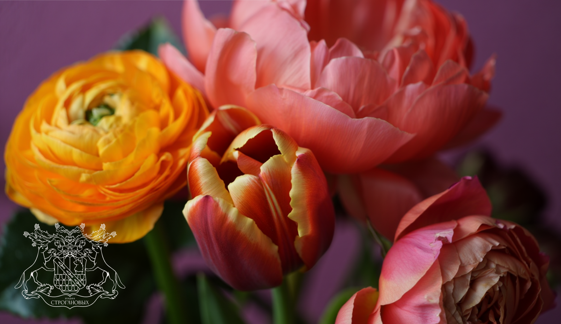 Усадьба Строгановых — Изображение №5 — Интерфейсы на Dprofile