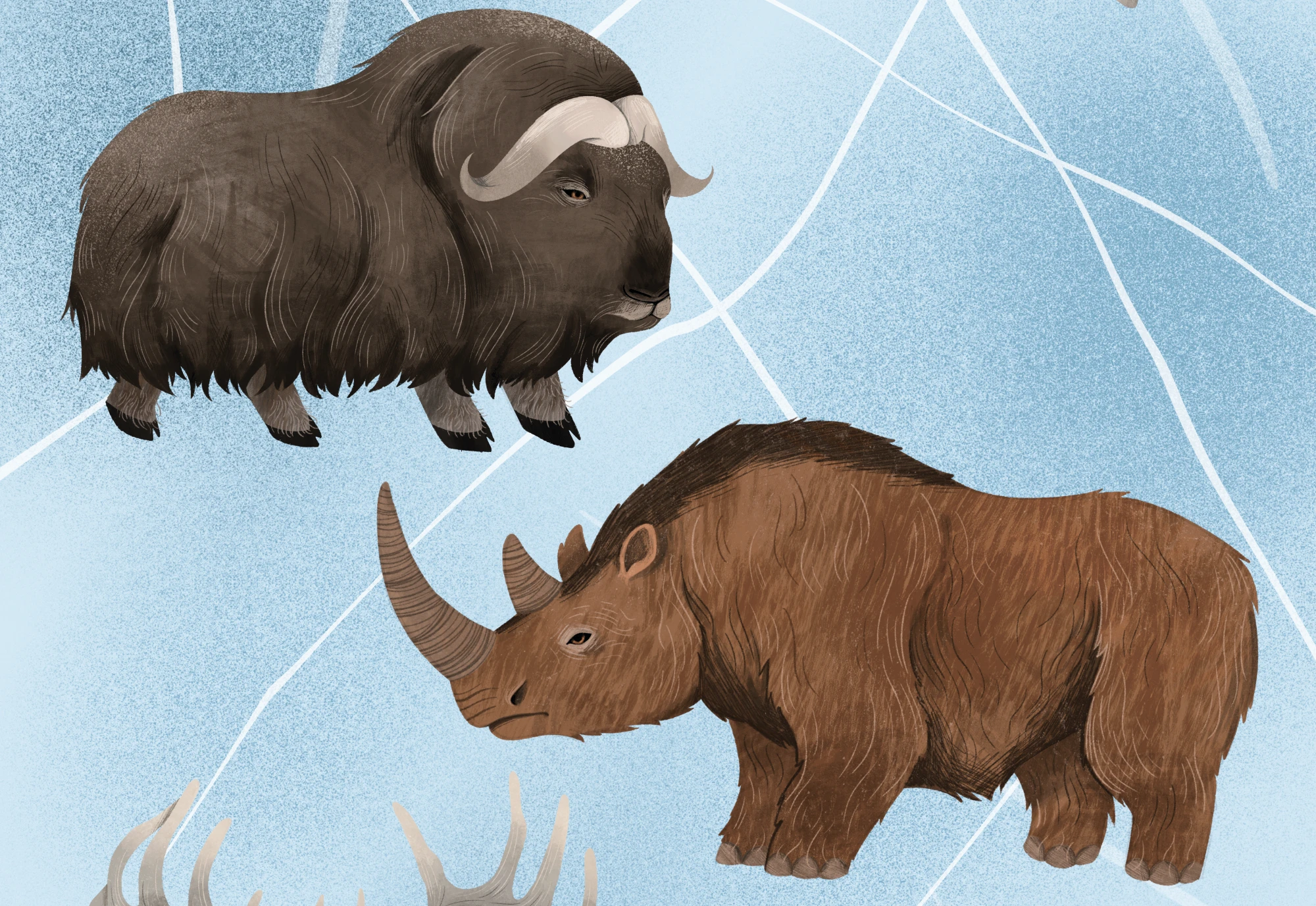 Детская настольная игра "Ледниковый Период" — Изображение №5 — Иллюстрация на Dprofile