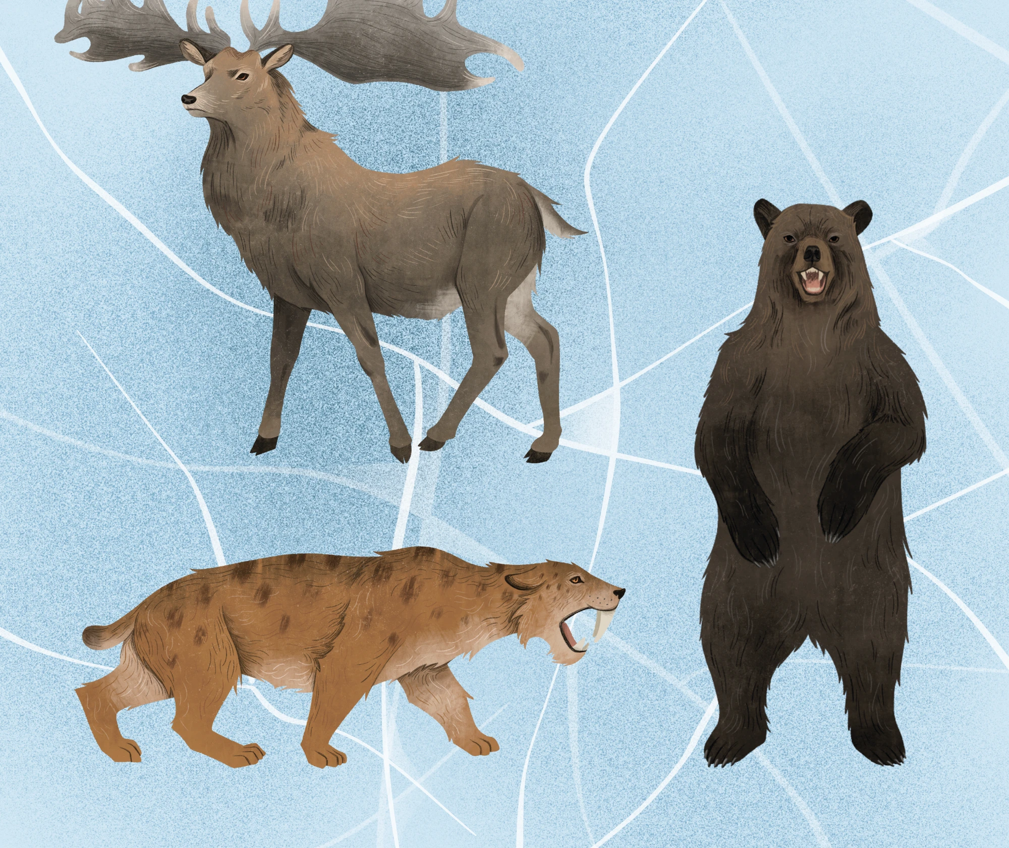 Детская настольная игра "Ледниковый Период" — Изображение №6 — Иллюстрация на Dprofile