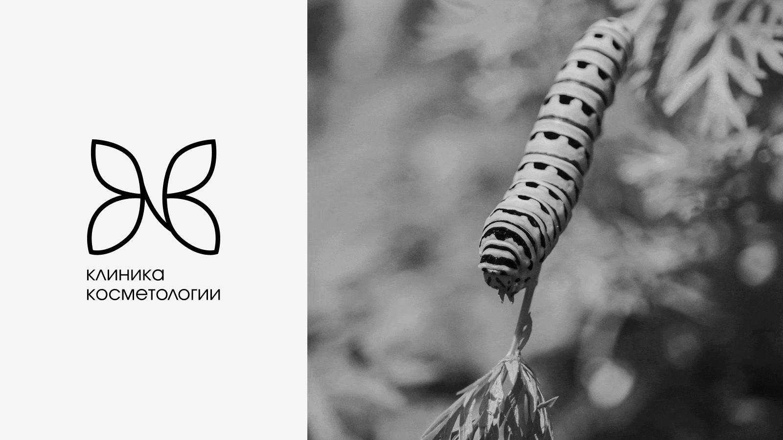 Айдентика для клиники косметологии NB — Изображение №5 — Брендинг, Иллюстрация на Dprofile