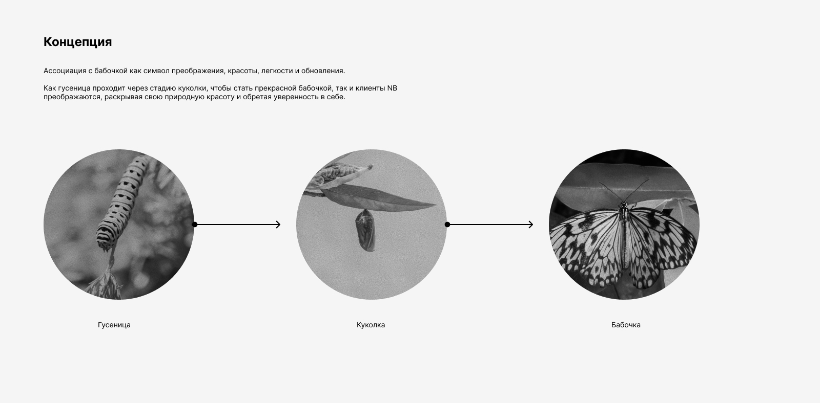 Айдентика для клиники косметологии NB — Изображение №4 — Брендинг, Иллюстрация на Dprofile