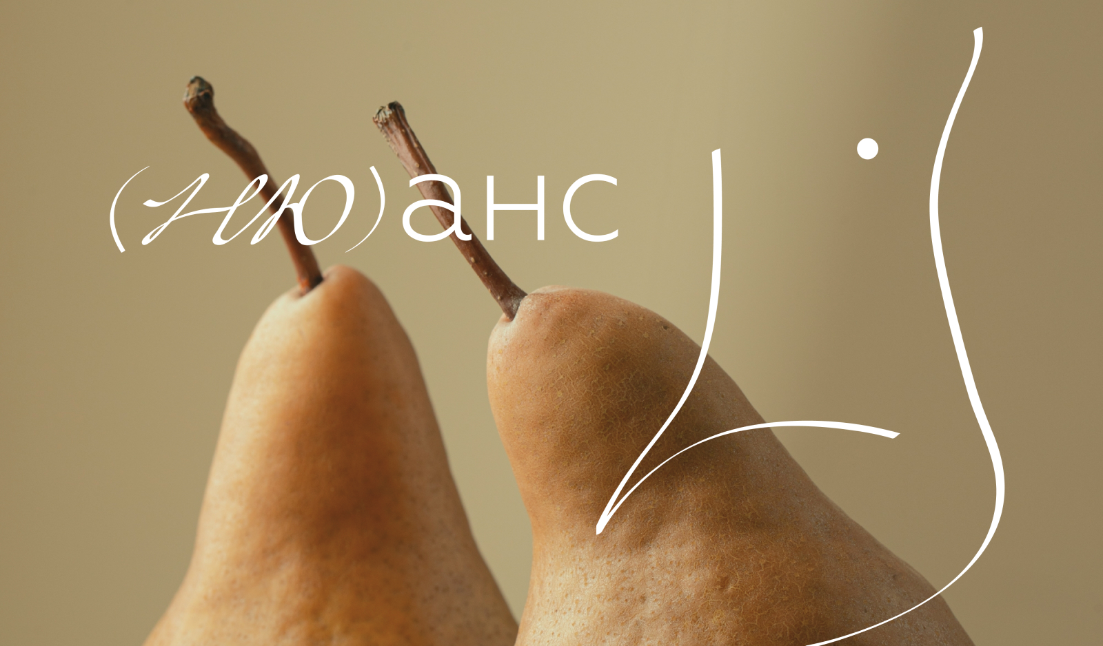 Айдентика для бренда нижнего белья (Ню)анс — Изображение №1 — Брендинг, Графика на Dprofile