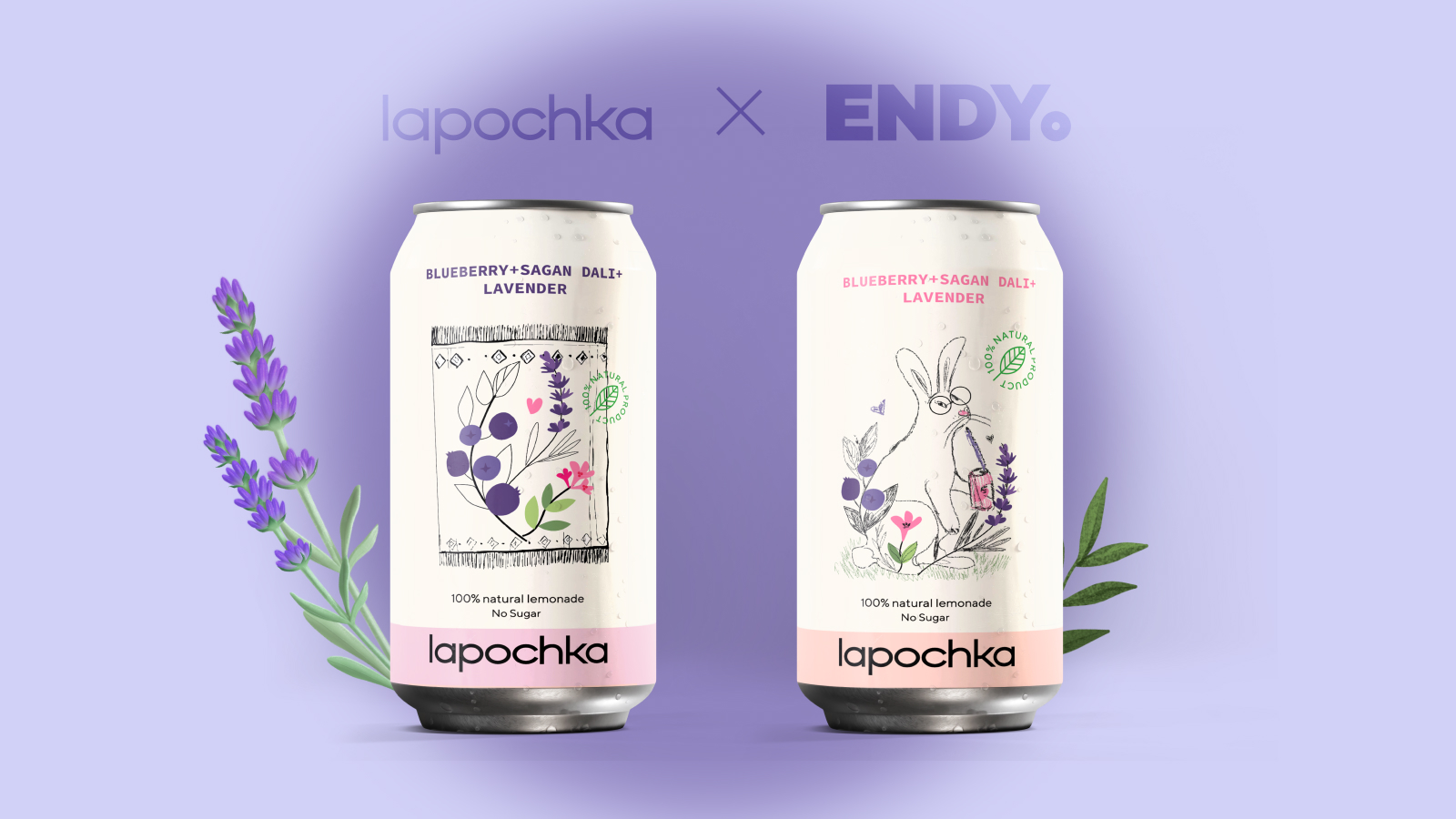 Lapochka × Endy концепт для упаковки лимонада — Изображение №1 — Брендинг, Иллюстрация на Dprofile