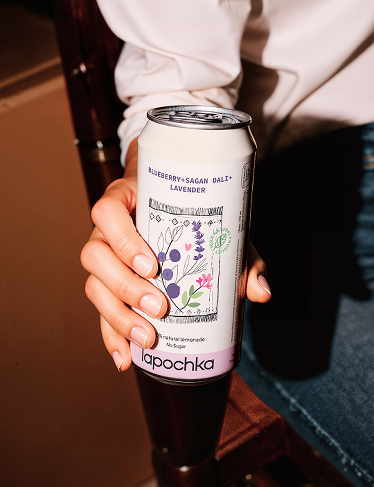 Lapochka × Endy концепт для упаковки лимонада — Изображение №9 — Брендинг, Иллюстрация на Dprofile