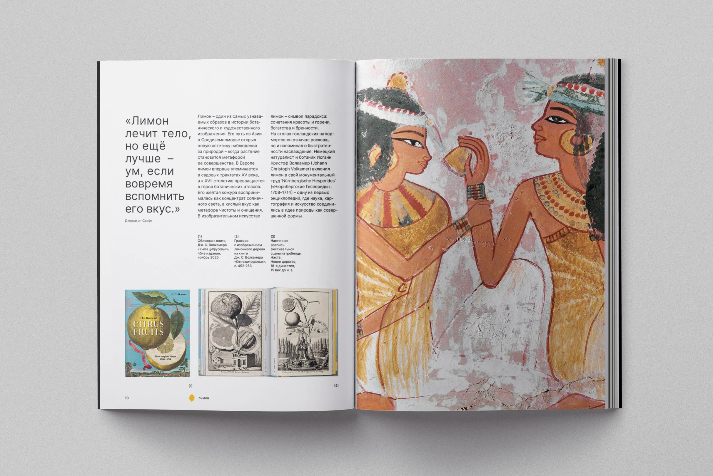 Символика цитрусовых в искусстве и маркетинге ВИ — Изображение №4 — Графика, Маркетинг на Dprofile