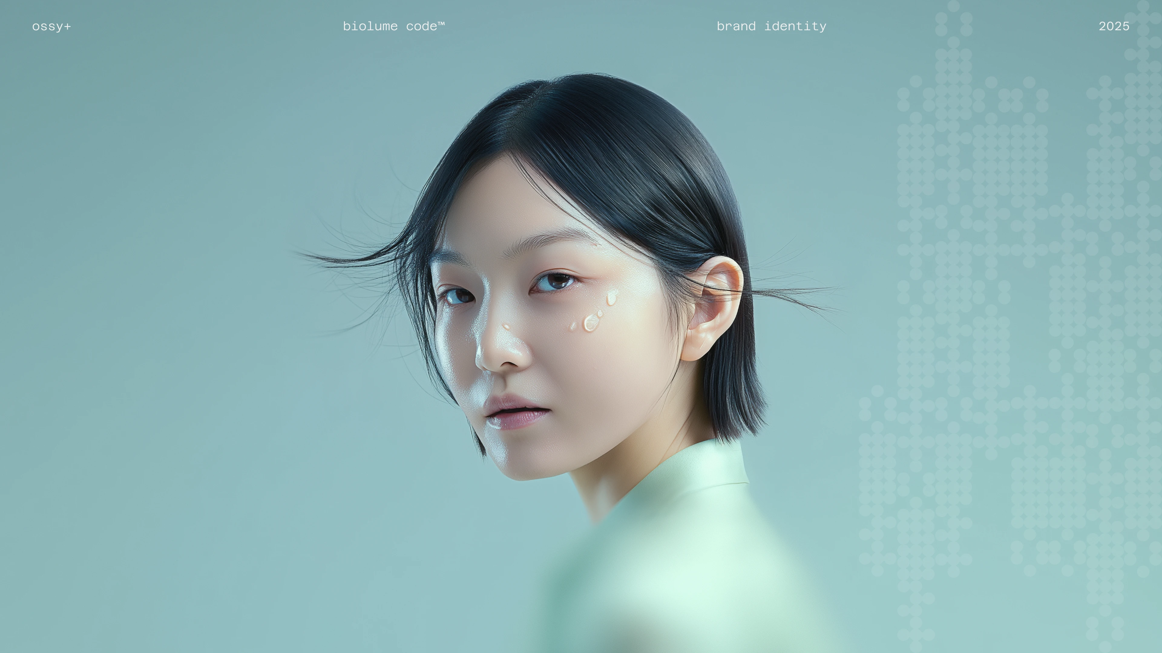 OSSY+ Brand Identity — Изображение №1 — Брендинг, Маркетинг на Dprofile