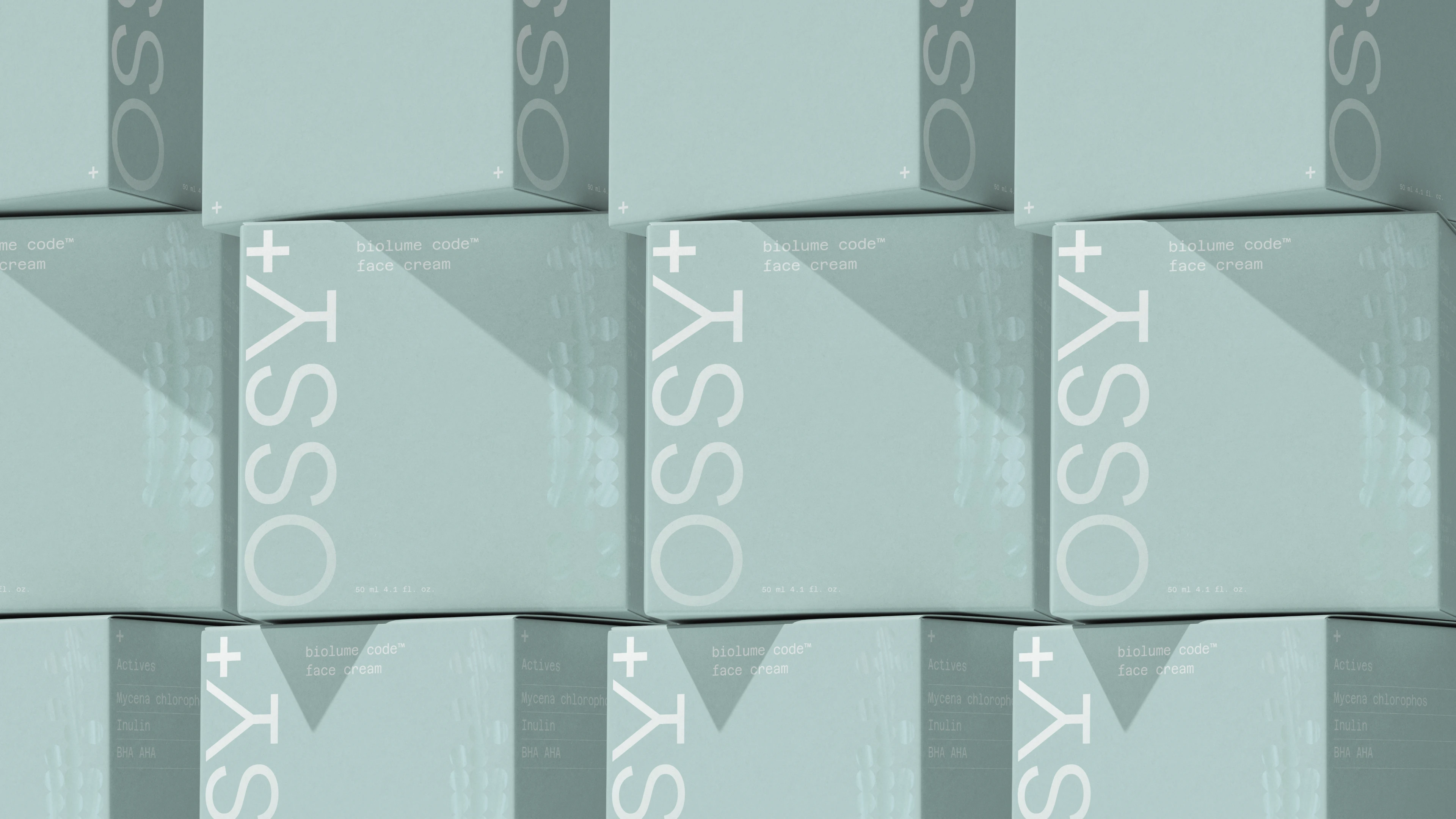 OSSY+ Brand Identity — Изображение №9 — Брендинг, Маркетинг на Dprofile