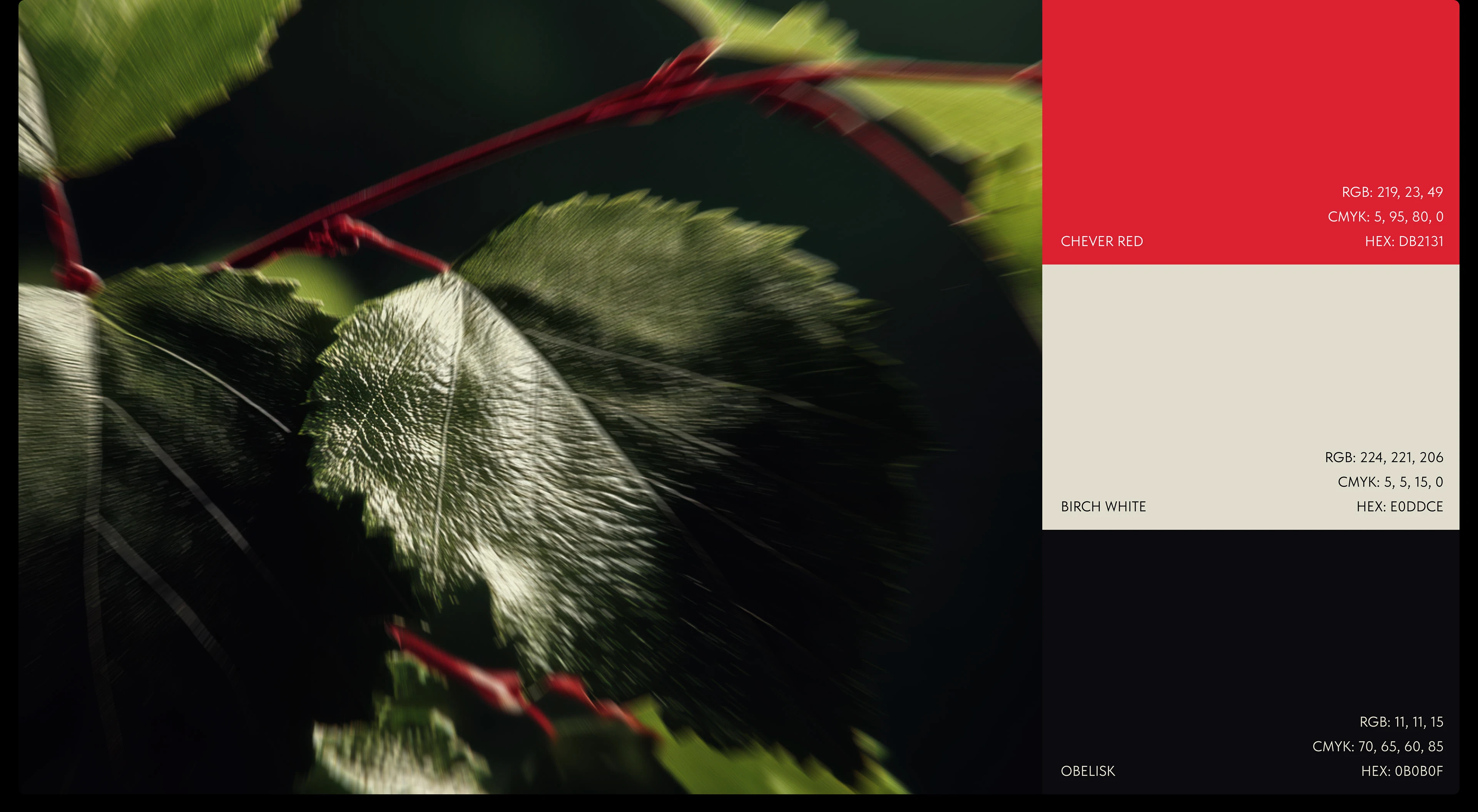 Чевер® — Изображение №5 — Брендинг на Dprofile