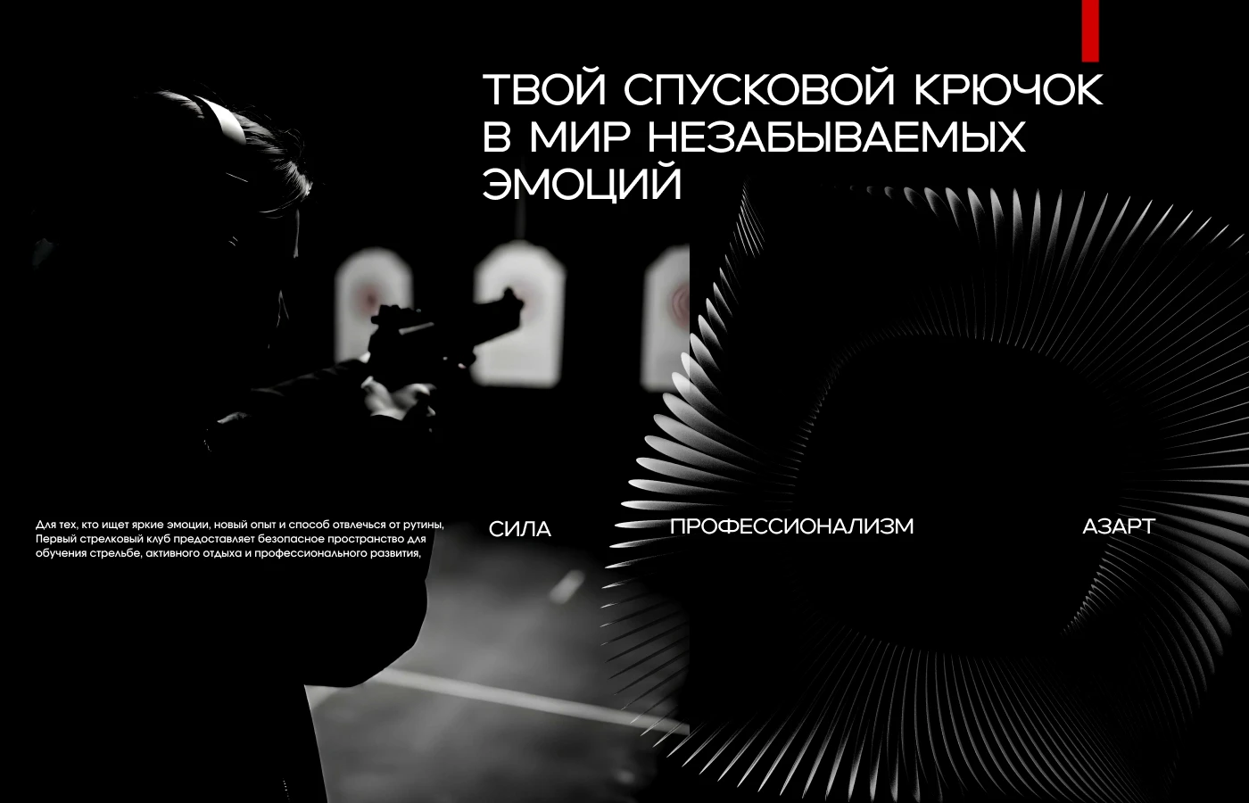 Брендбук. Фирменный стиль. Логотип для стрелкового клуба — Изображение №2 — Брендинг на Dprofile