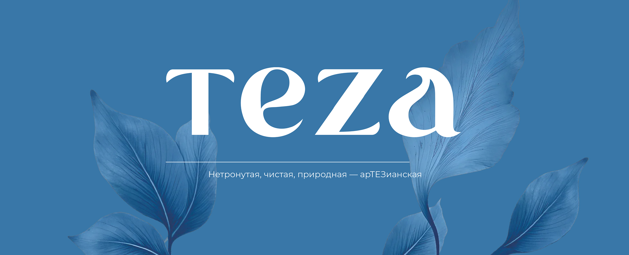 Teza | Дизайн упаковки питьевой воды — Изображение №2 — Брендинг на Dprofile