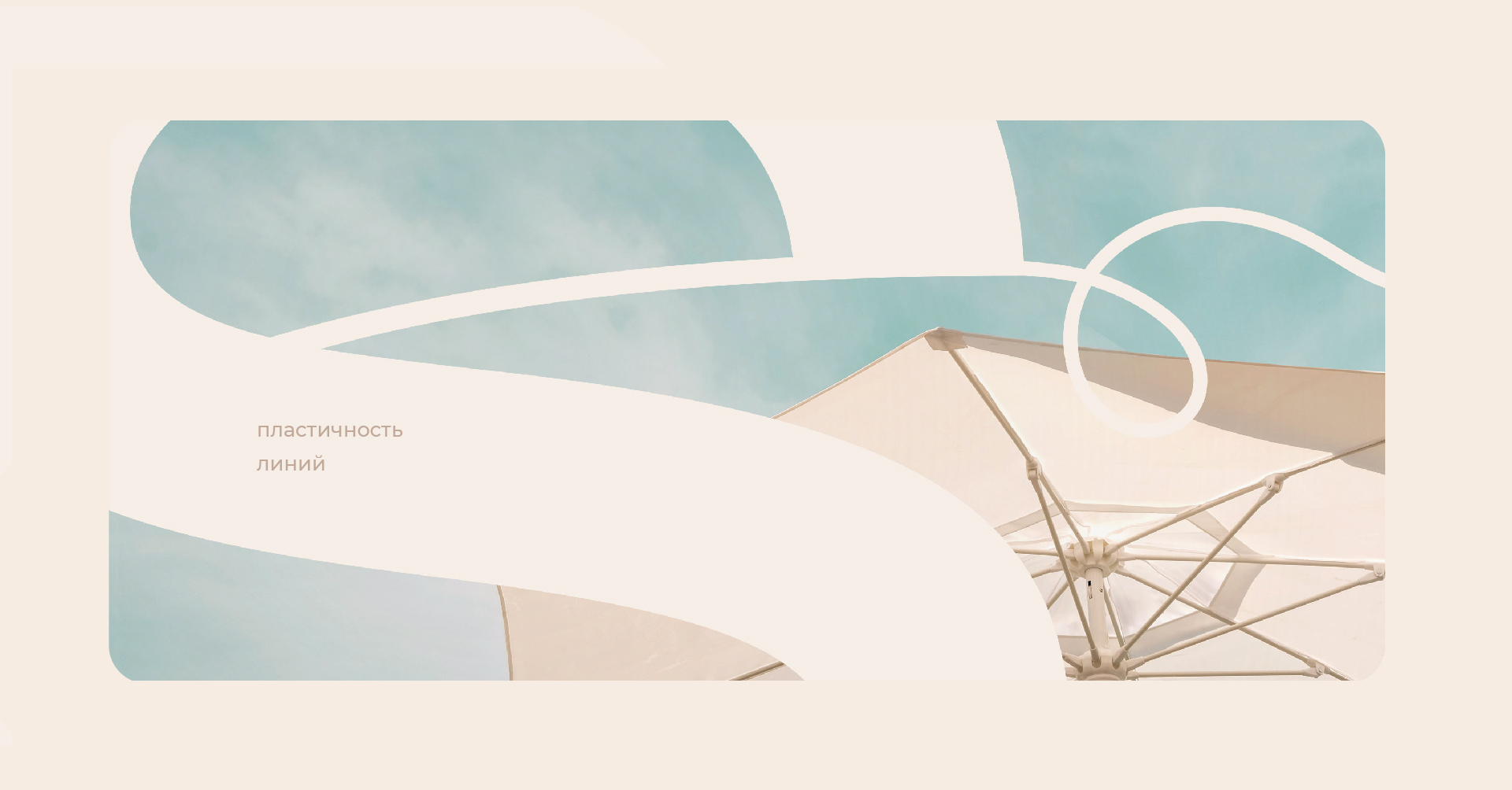 Tasario | Брендинг компании по производству тех. текстиля — Изображение №5 — Брендинг на Dprofile