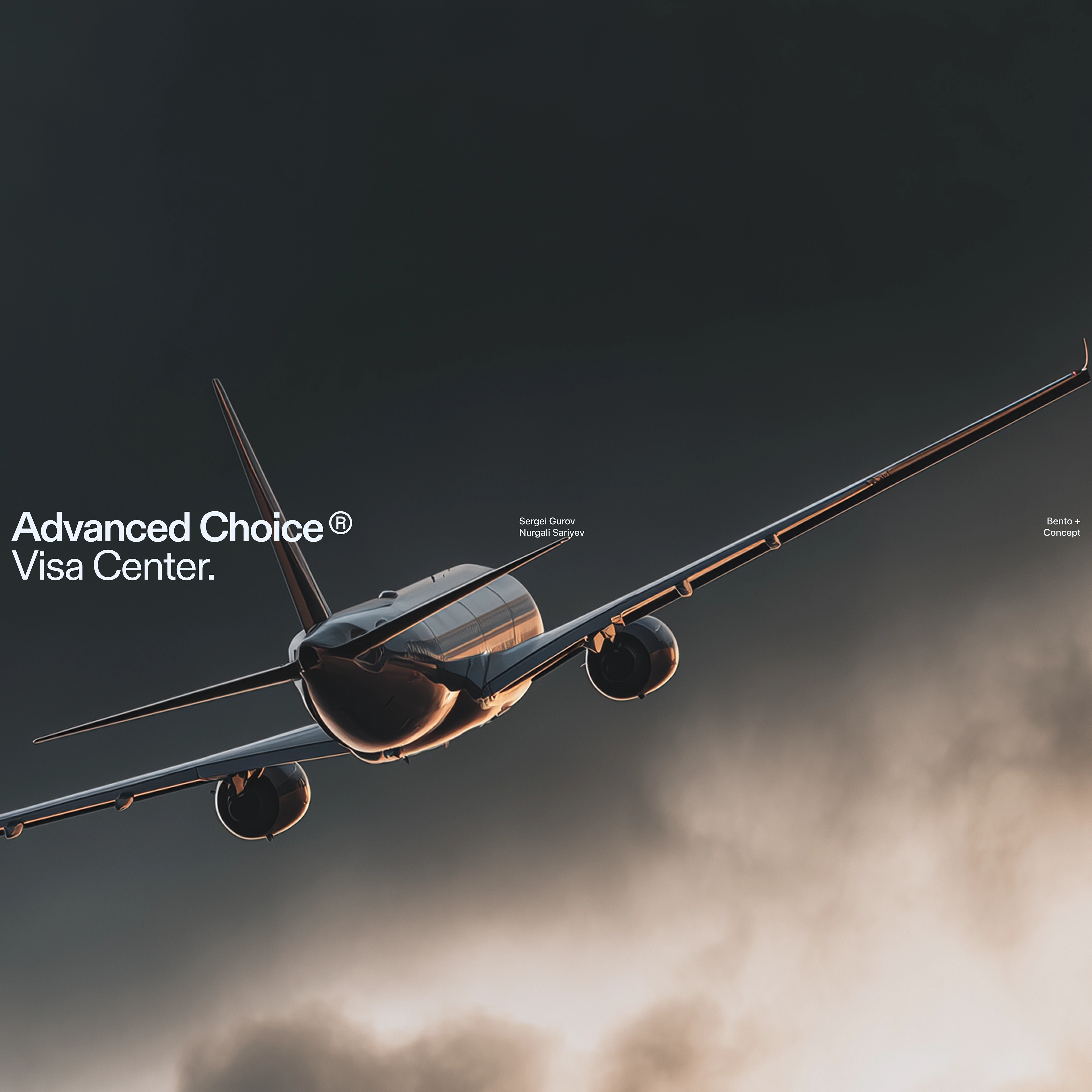 AC Visa Center | Bento+ — Изображение №1 — Интерфейсы, Анимация на Dprofile