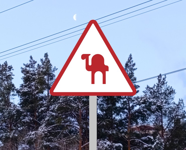 Носки челябинца — Брендинг на Dprofile