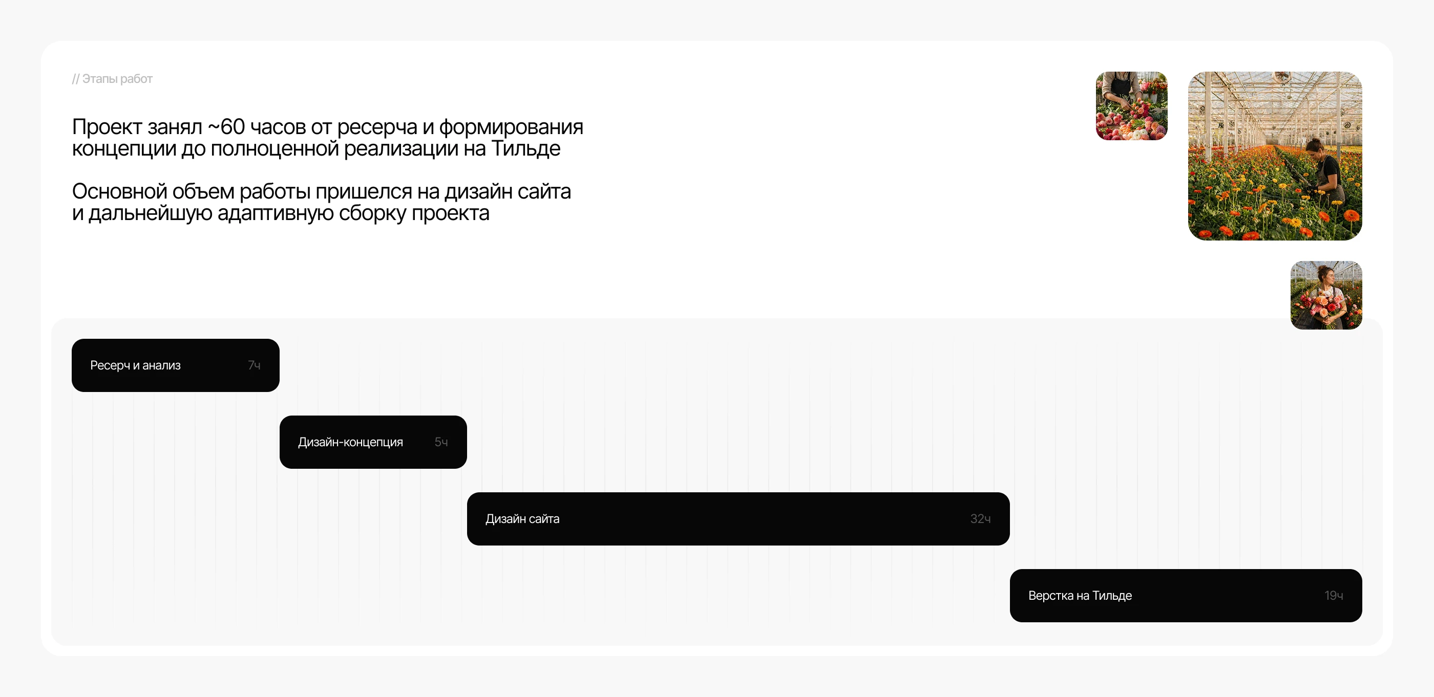 Дизайн лендинга для SaaS и агротех продукта — Изображение №5 — Интерфейсы на Dprofile