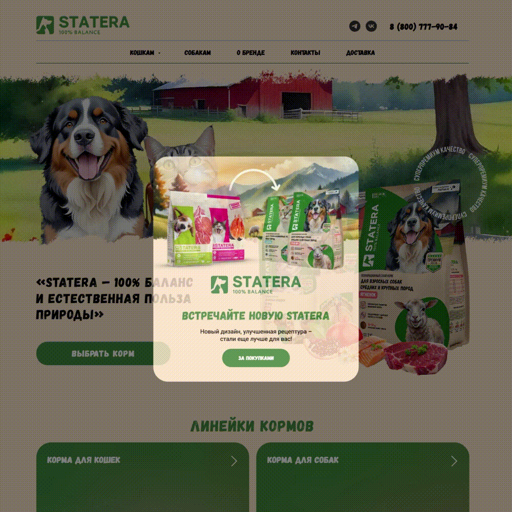 STATERA - Rebranding — Изображение №34 — Брендинг, 3D на Dprofile