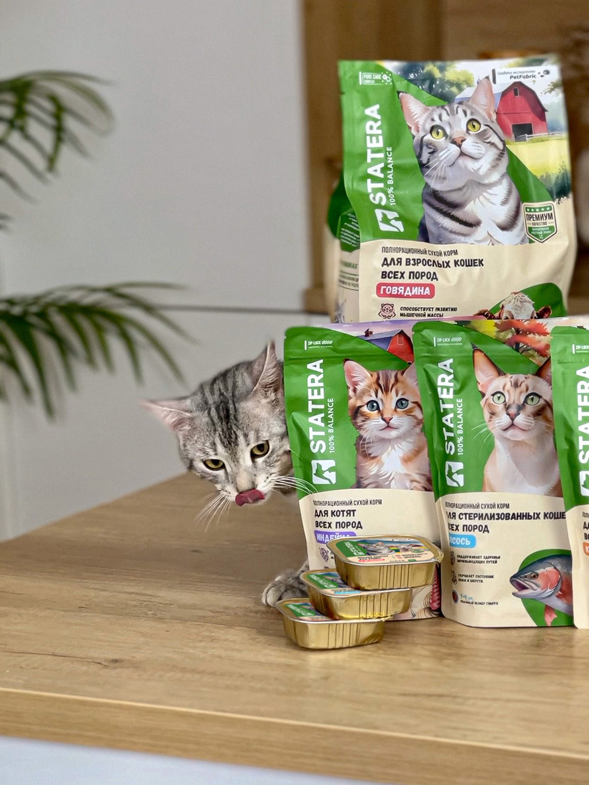 STATERA - Rebranding — Изображение №38 — Брендинг, 3D на Dprofile