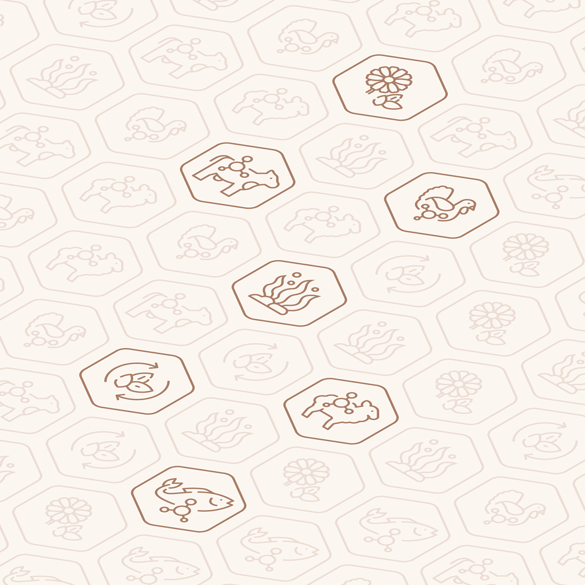 SAM AM — Branding & Packaging — Изображение №7 — Брендинг, 3D на Dprofile