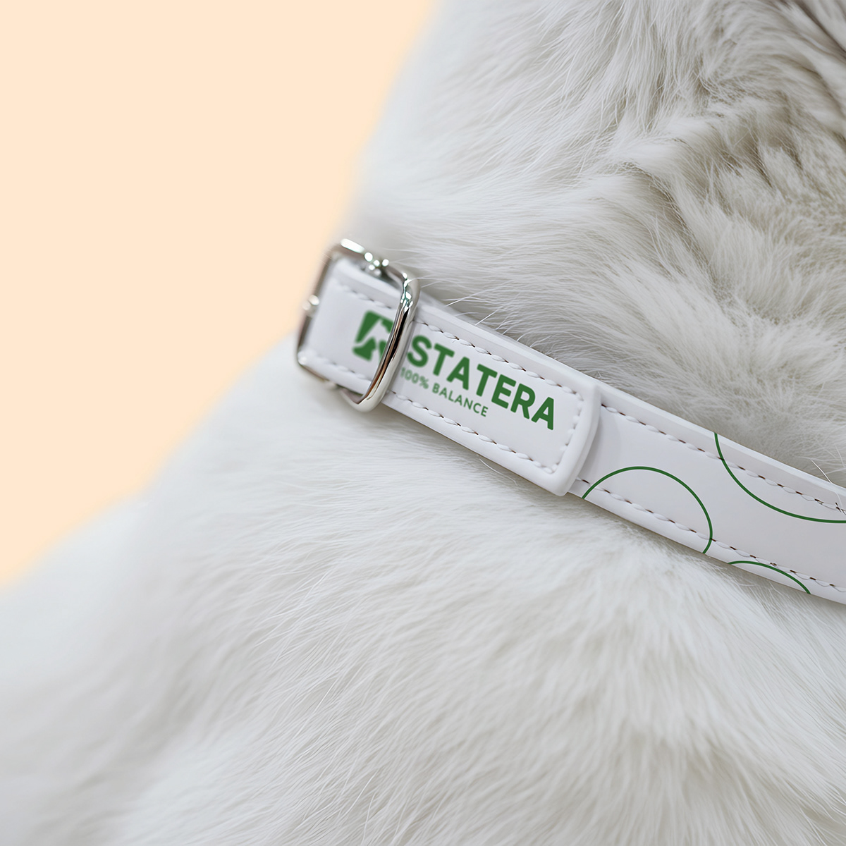 STATERA - Rebranding — Изображение №31 — Брендинг, 3D на Dprofile