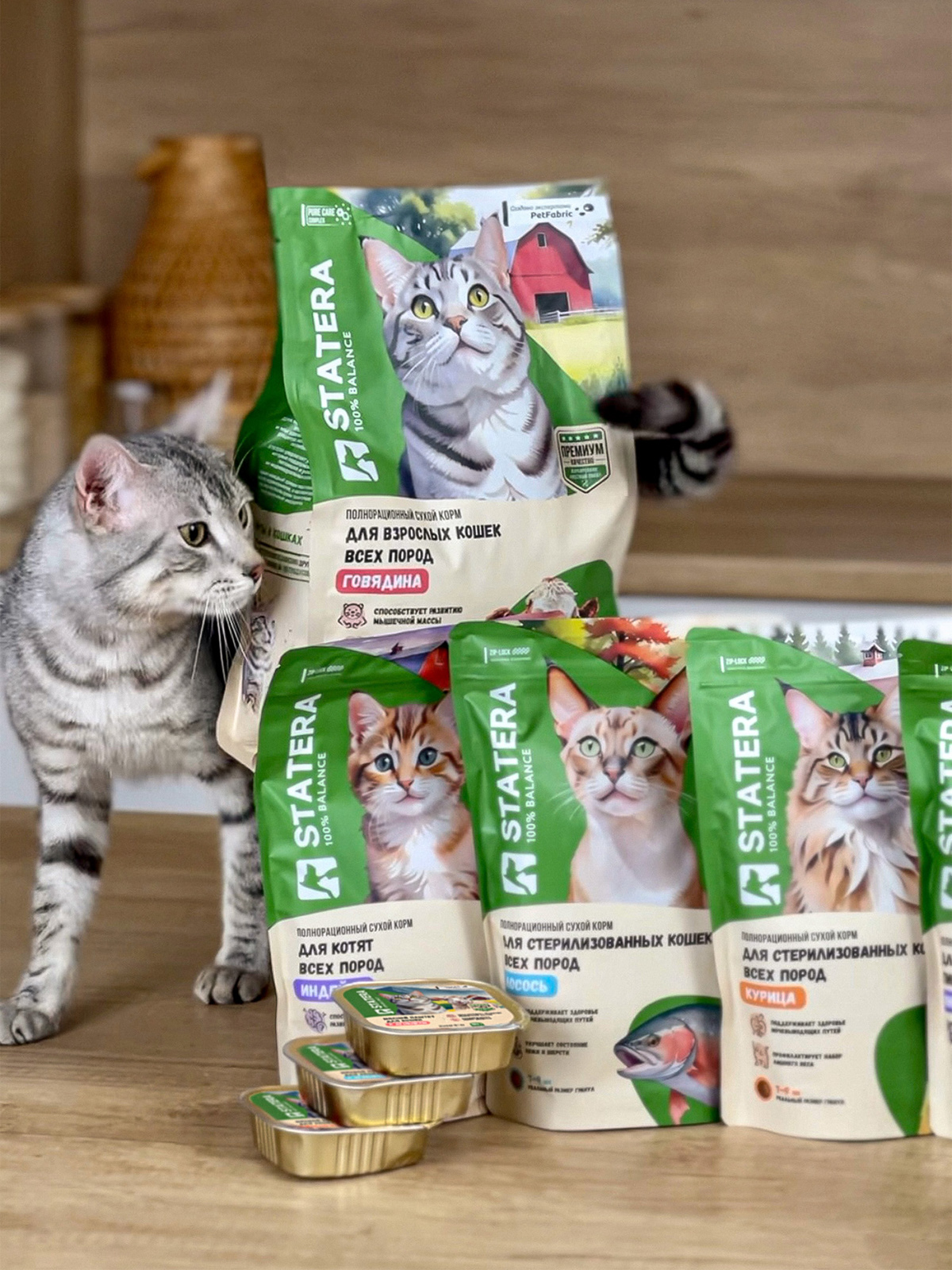 STATERA - Rebranding — Изображение №30 — Брендинг, 3D на Dprofile