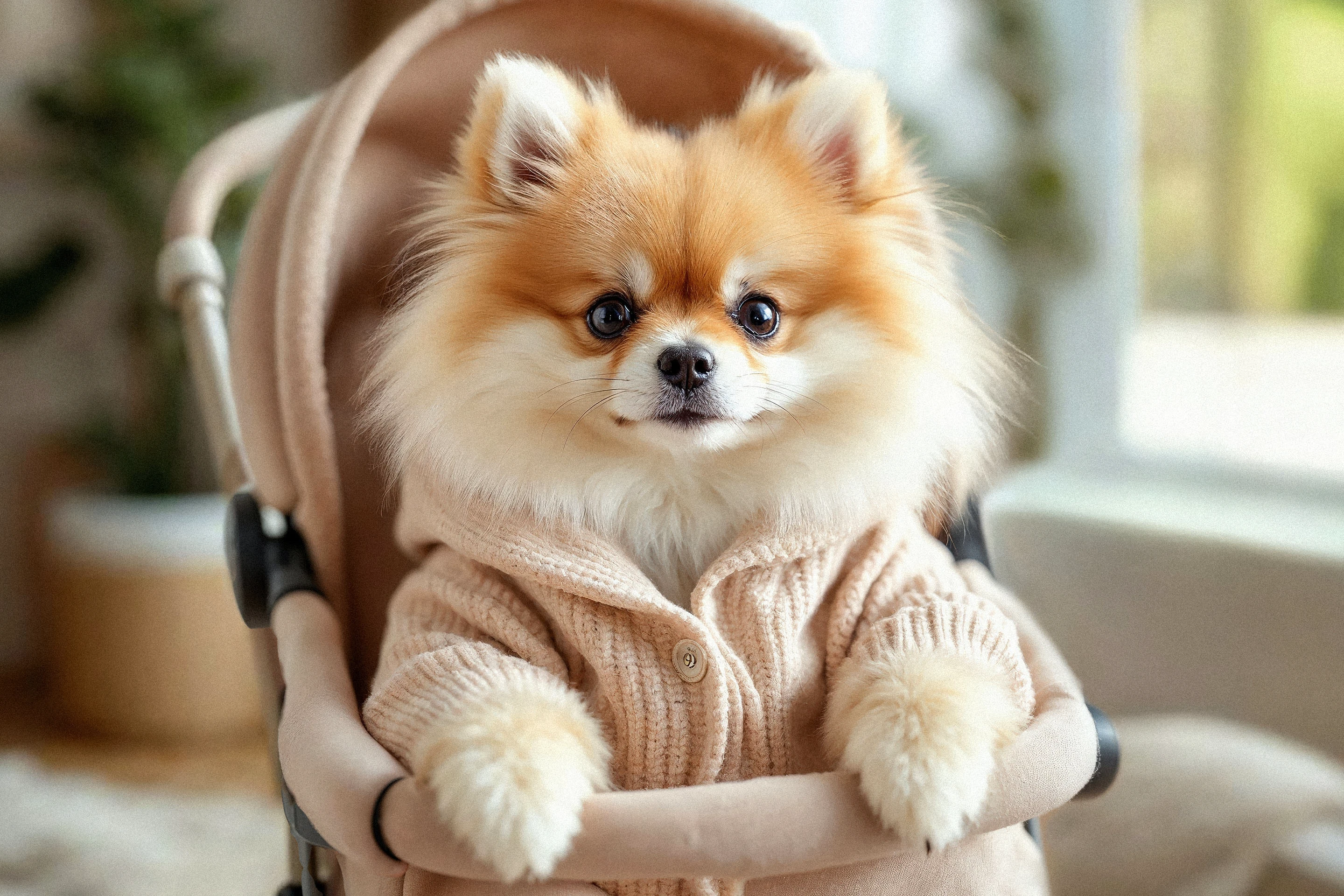 SAM AM — Branding & Packaging — Изображение №20 — Брендинг, 3D на Dprofile