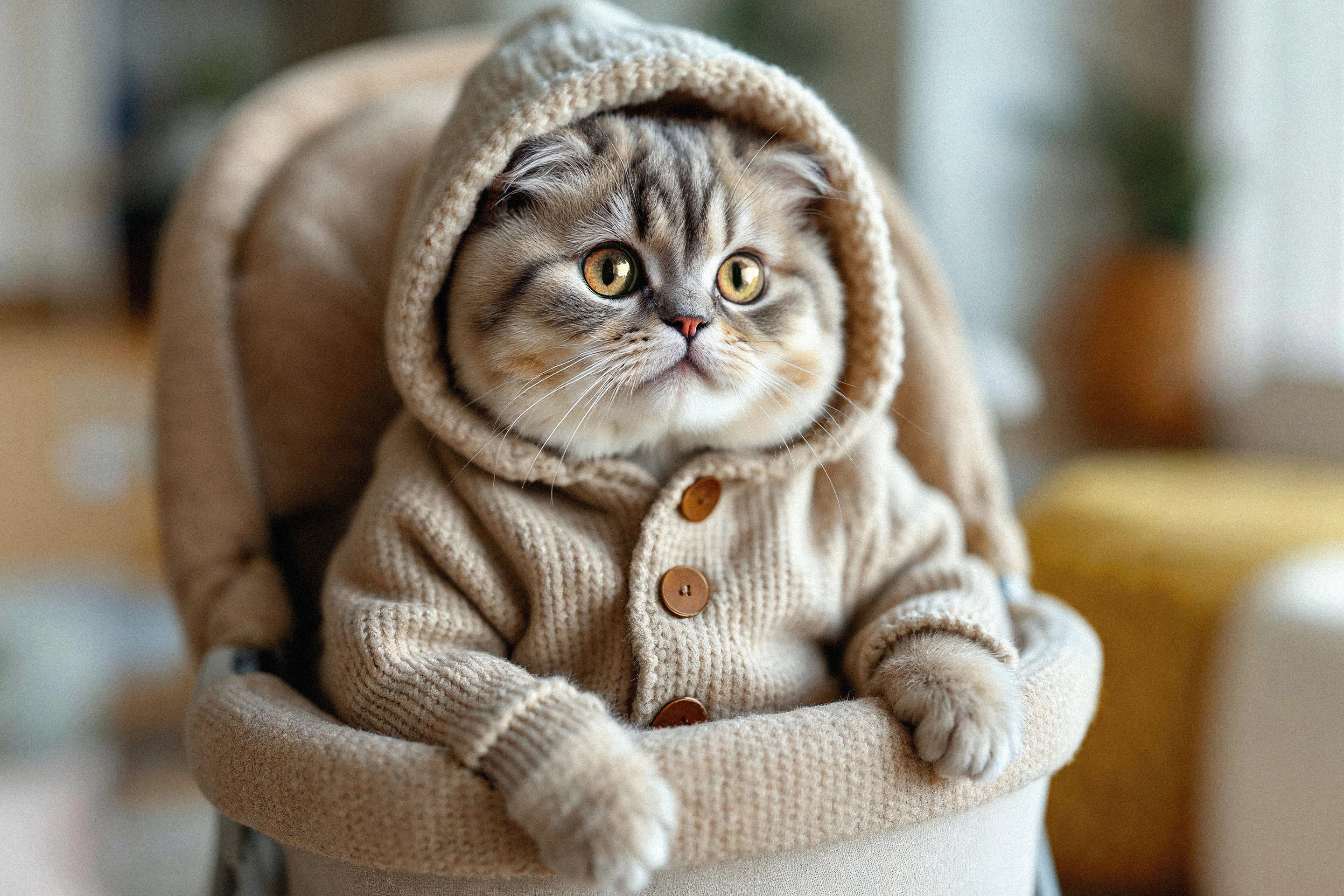 SAM AM — Branding & Packaging — Изображение №16 — Брендинг, 3D на Dprofile