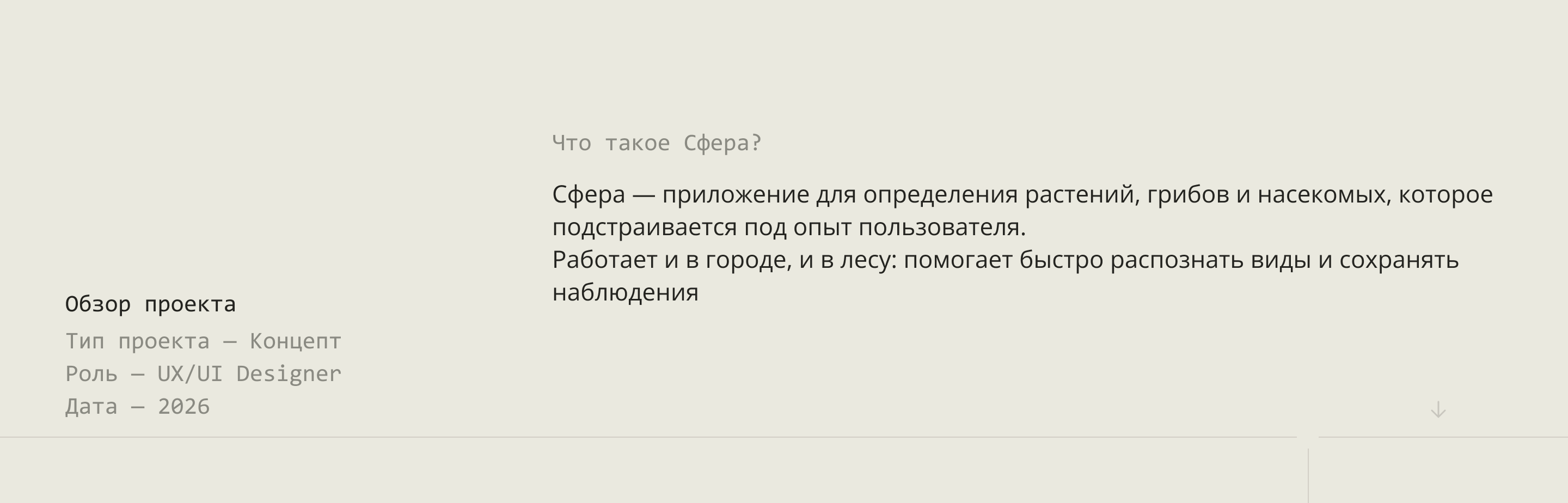 mobile app Sphere — Изображение №2 — Интерфейсы на Dprofile