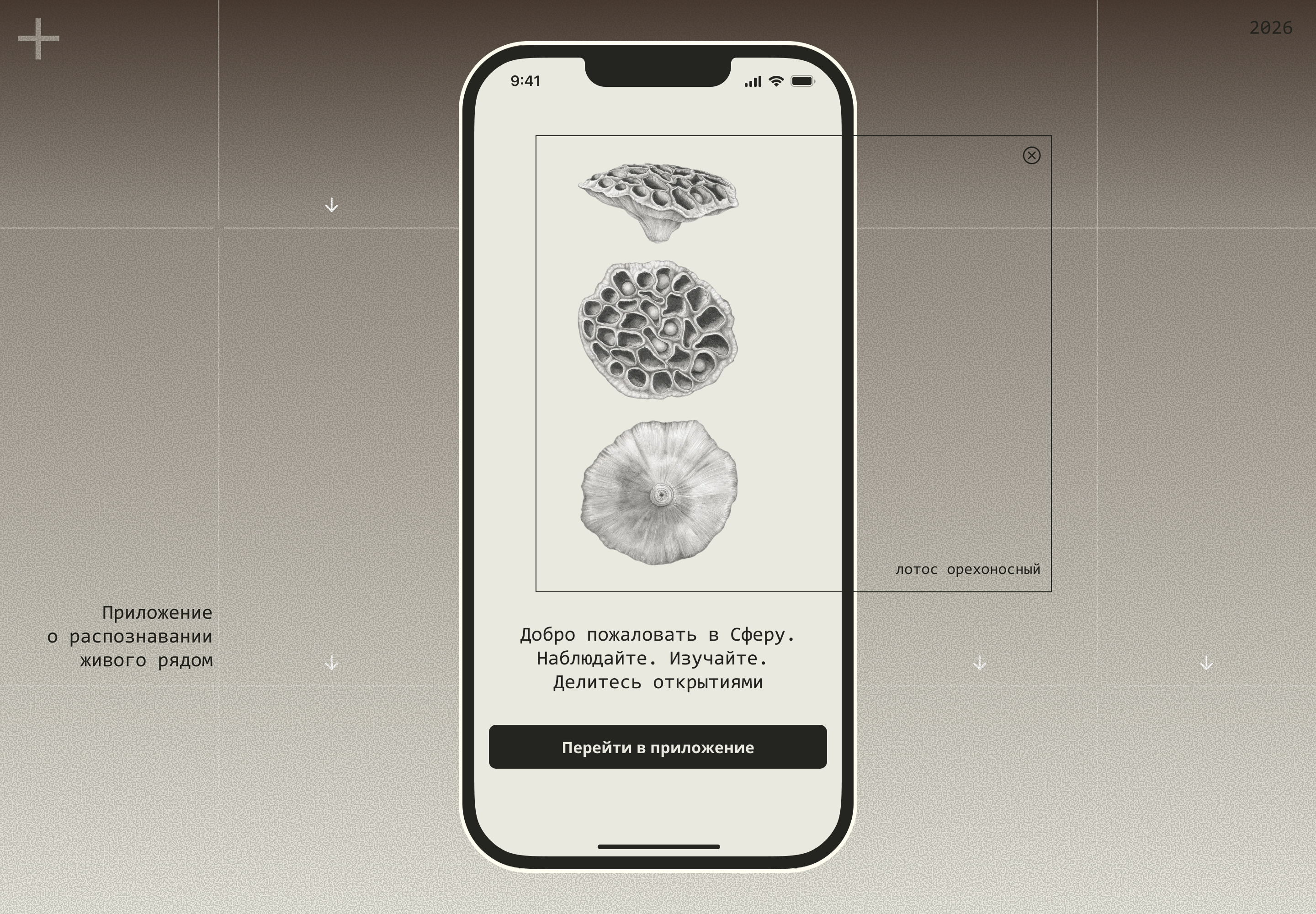 mobile app Sphere — Изображение №1 — Интерфейсы на Dprofile