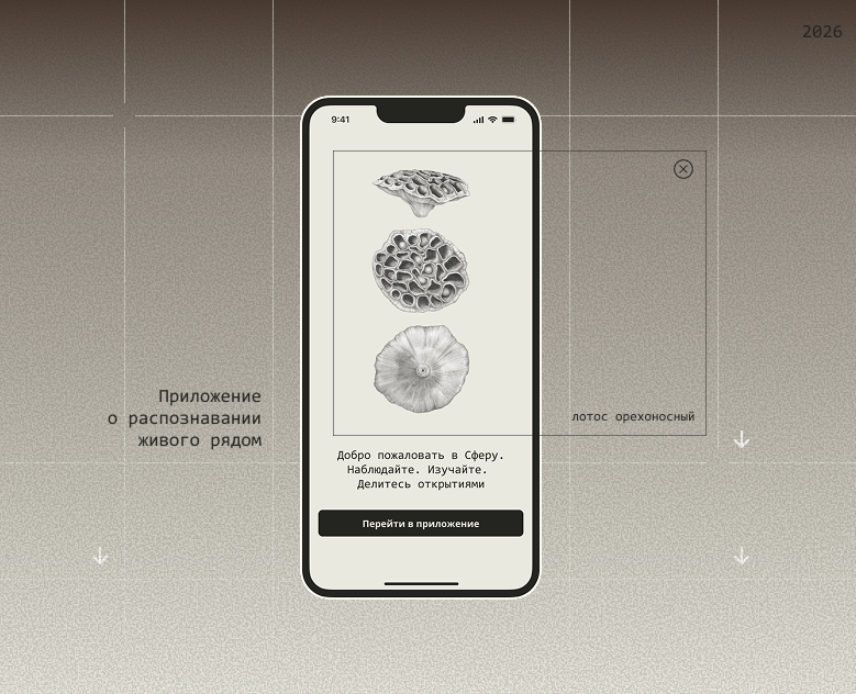 mobile app Sphere — Интерфейсы на Dprofile