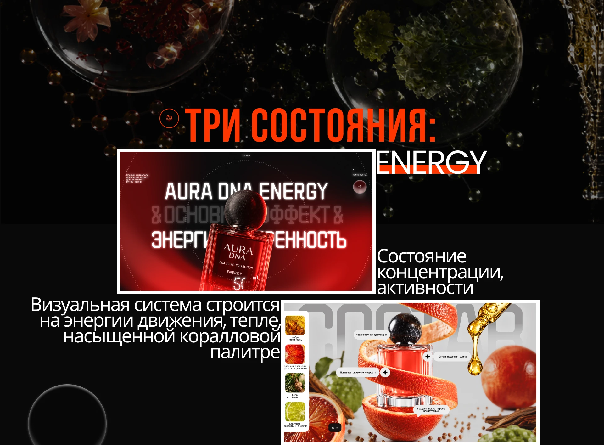 Презентация парфюмерии — Изображение №4 — Интерфейсы, Маркетинг на Dprofile