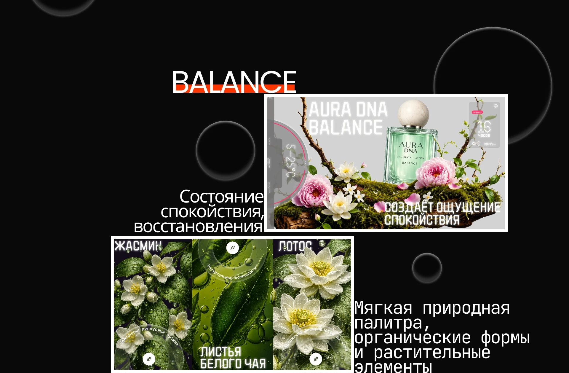 Презентация парфюмерии — Изображение №5 — Интерфейсы, Маркетинг на Dprofile
