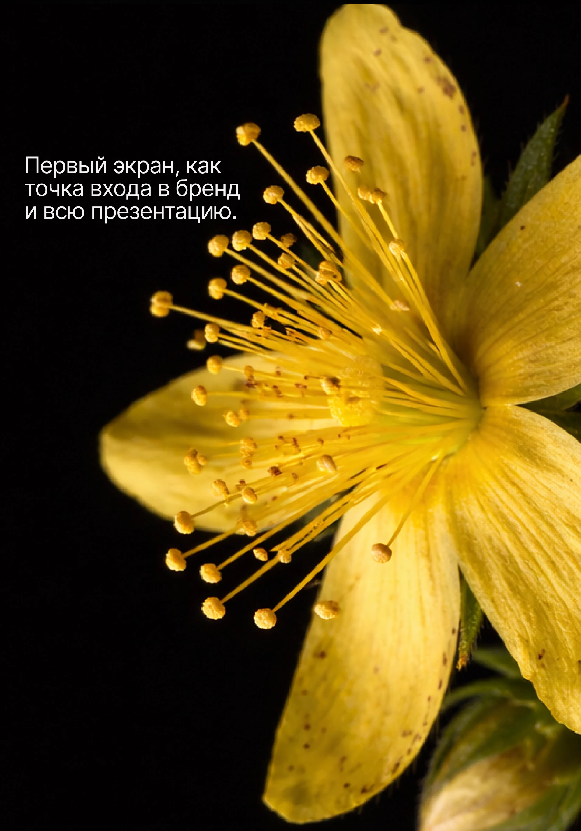 Презентация продукта — Изображение №4 — Интерфейсы, Маркетинг на Dprofile