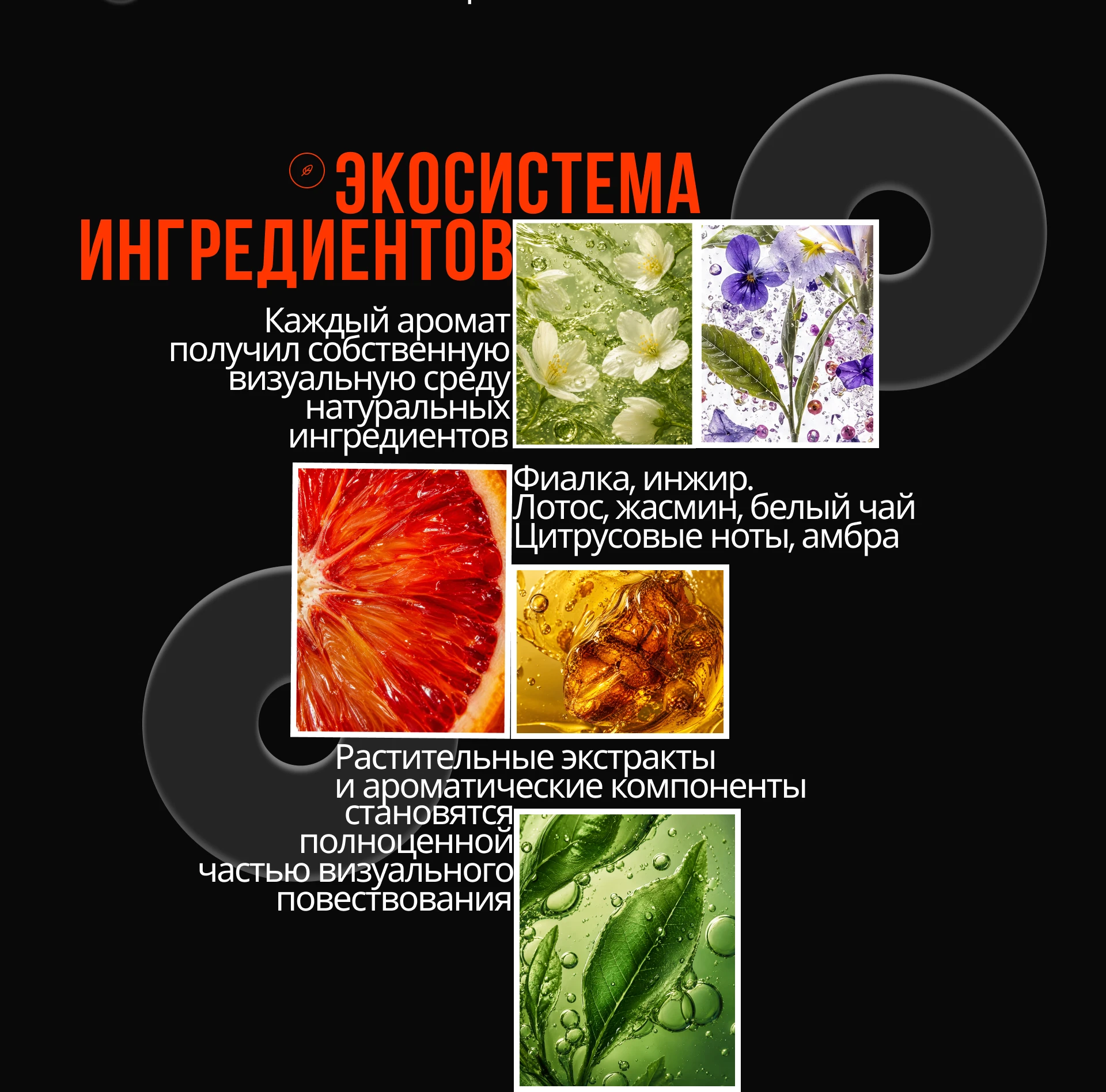 Презентация парфюмерии — Изображение №7 — Интерфейсы, Маркетинг на Dprofile