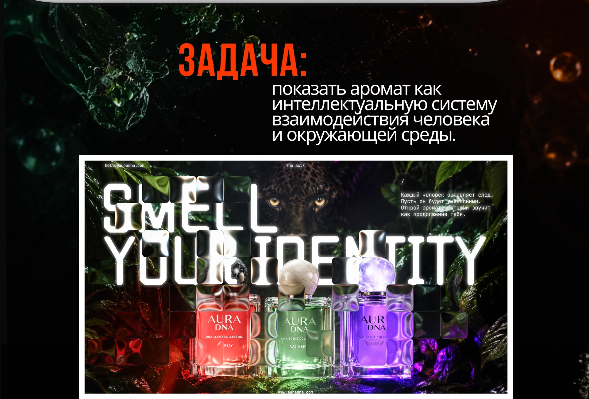 Презентация парфюмерии — Изображение №2 — Интерфейсы, Маркетинг на Dprofile