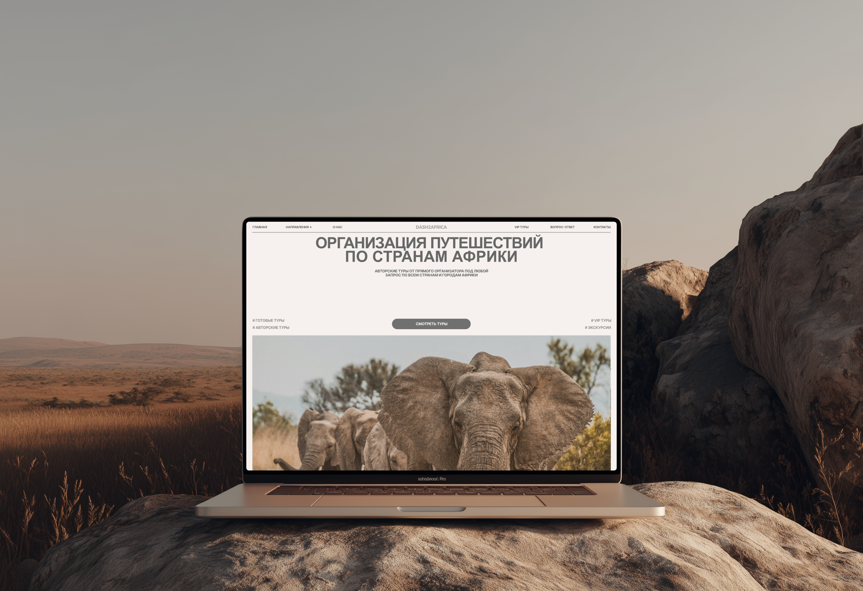 DASH2AFRICA | Website — Изображение №1 — Интерфейсы на Dprofile