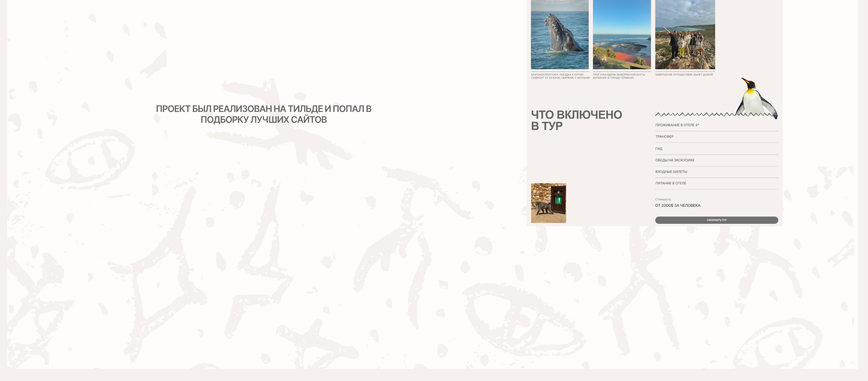 DASH2AFRICA | Website — Изображение №10 — Интерфейсы на Dprofile