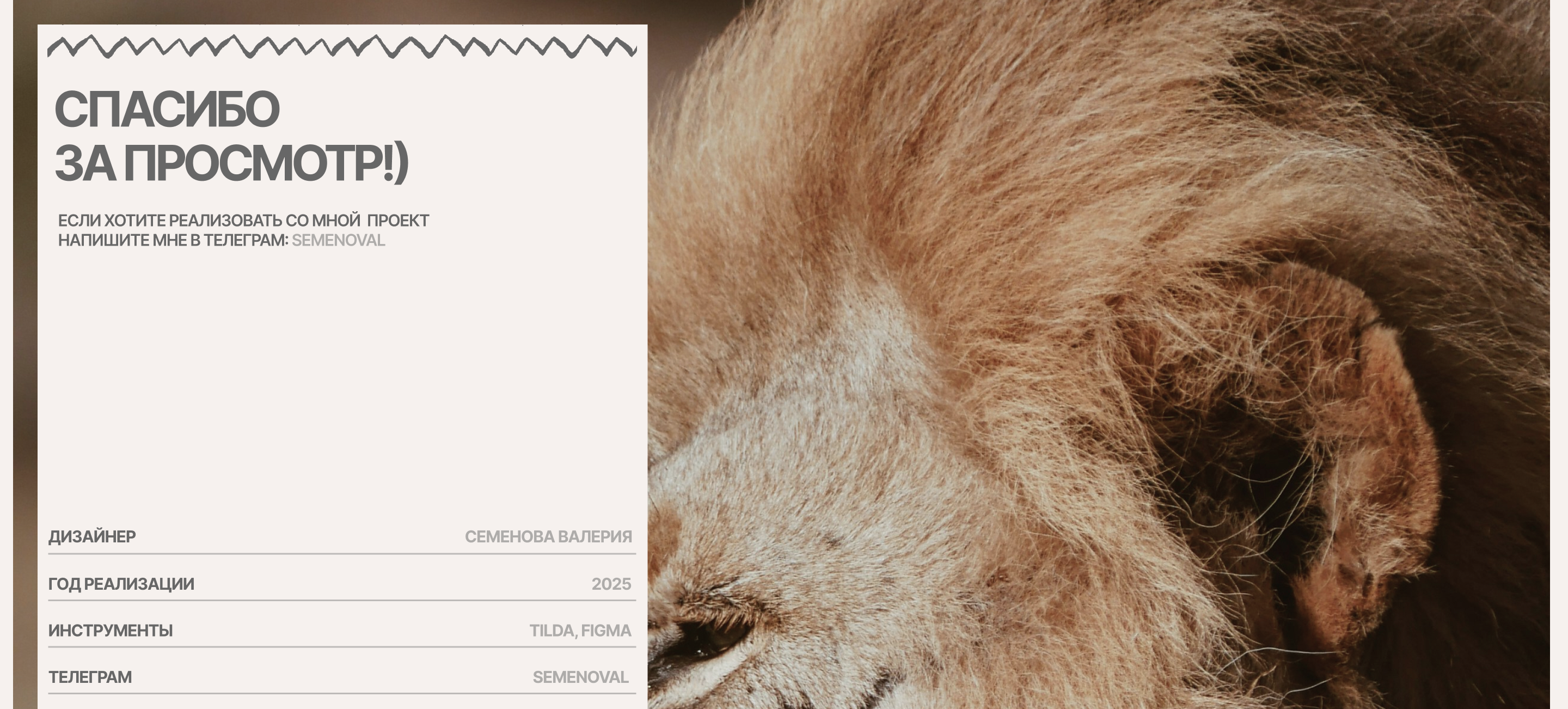 DASH2AFRICA | Website — Изображение №11 — Интерфейсы на Dprofile