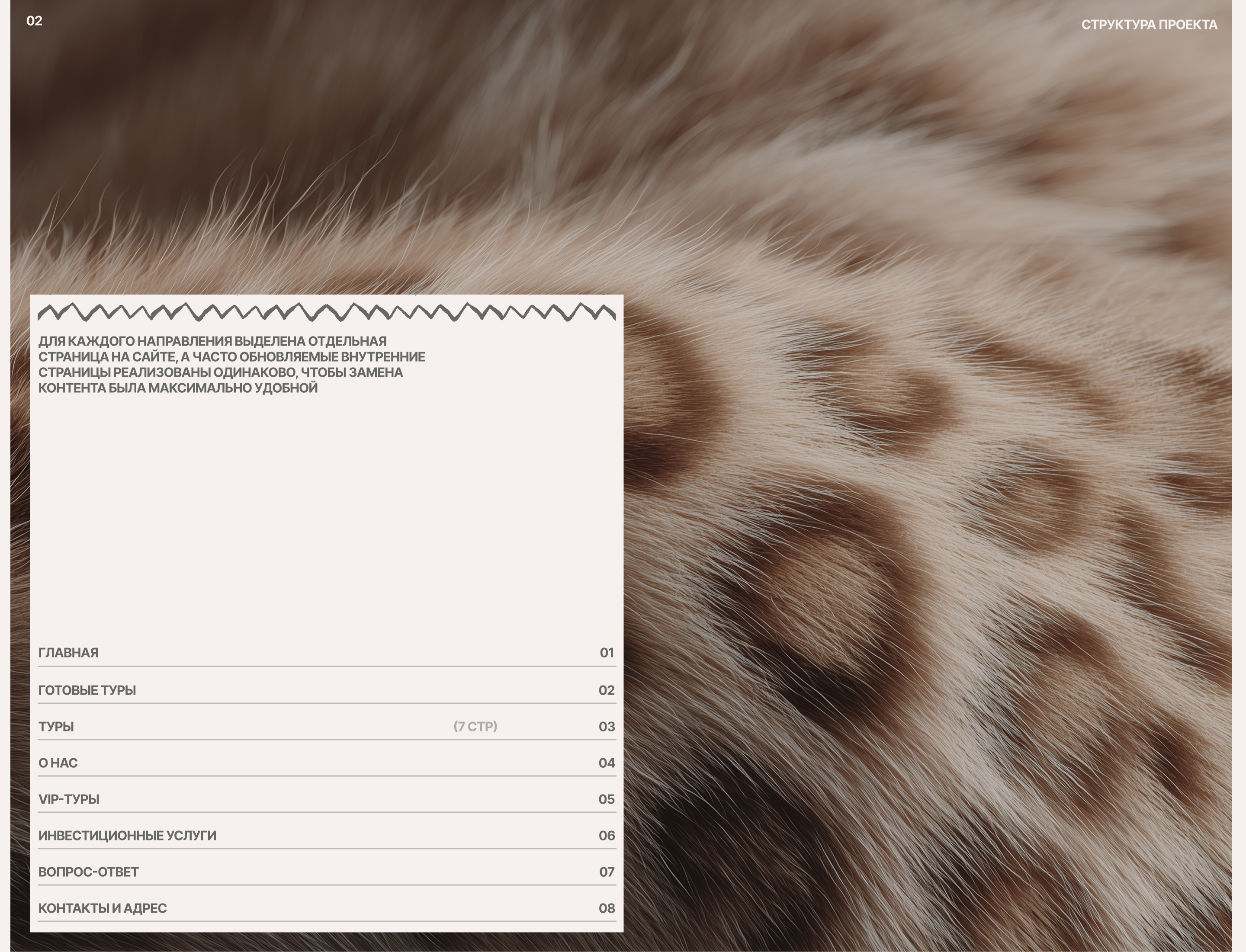DASH2AFRICA | Website — Изображение №3 — Интерфейсы на Dprofile