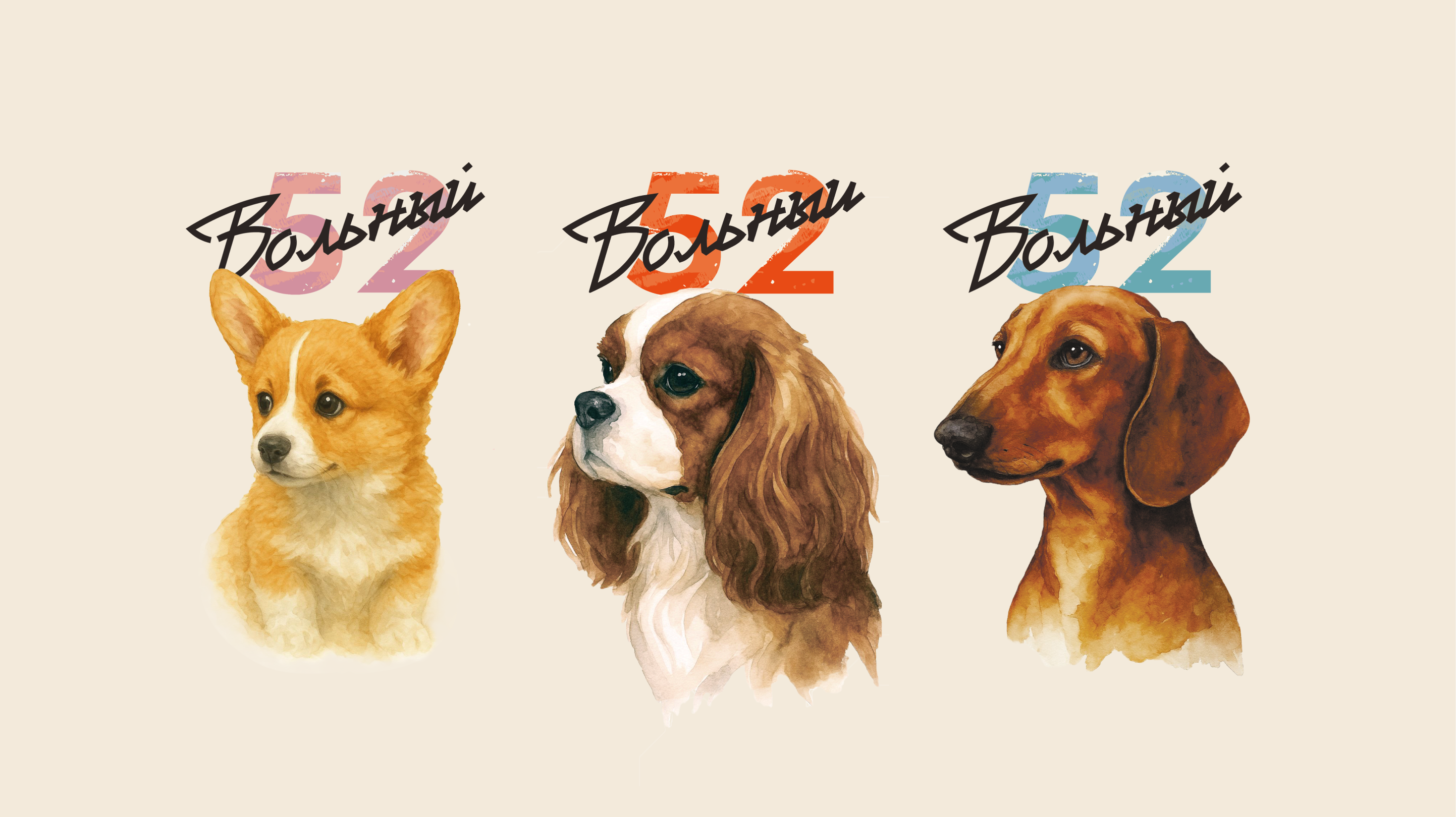 Упаковка холистик корма для собак | Вольный 52 — Изображение №5 — Брендинг на Dprofile