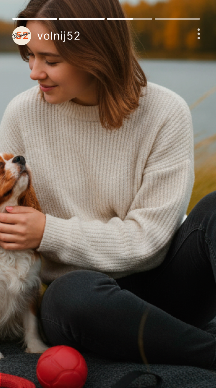 Упаковка холистик корма для собак | Вольный 52 — Изображение №25 — Брендинг на Dprofile