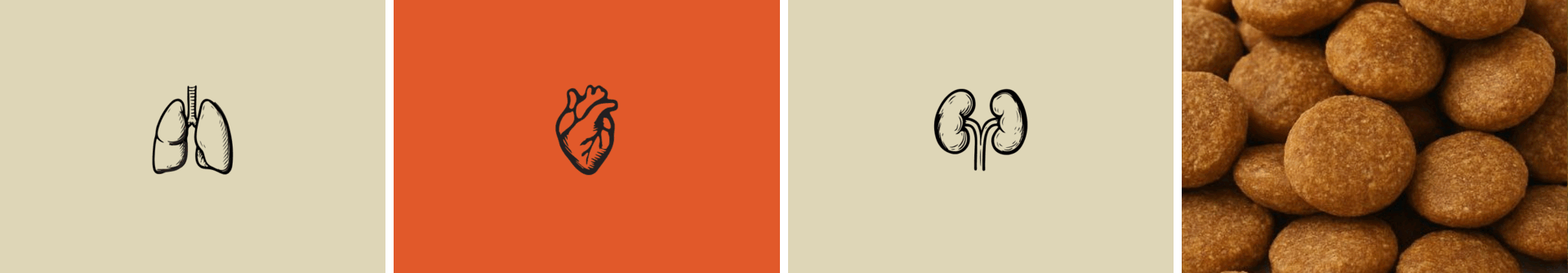 Упаковка холистик корма для собак | Вольный 52 — Изображение №12 — Брендинг на Dprofile