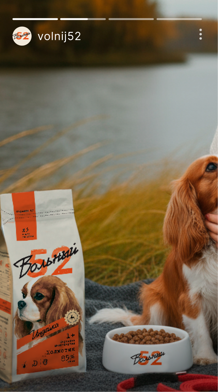 Упаковка холистик корма для собак | Вольный 52 — Изображение №24 — Брендинг на Dprofile