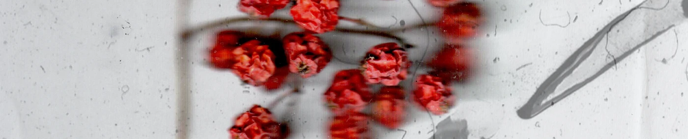 Внутренний диалог — Изображение №12 — Графика на Dprofile