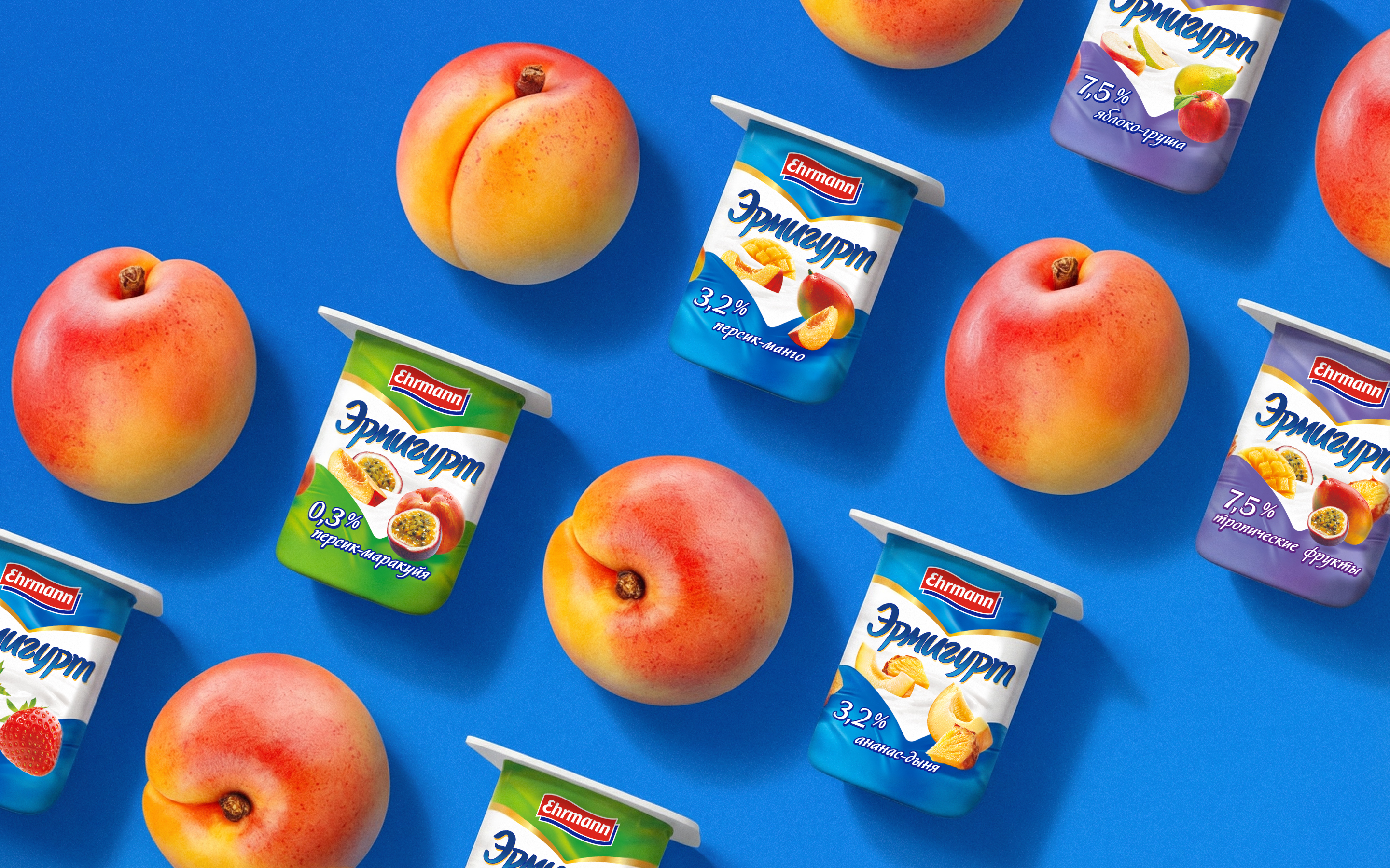 ERMIGURT EHRMANN © PACKAGING DESIGN LABEL DESIGN — Изображение №6 — Интерфейсы, Брендинг на Dprofile