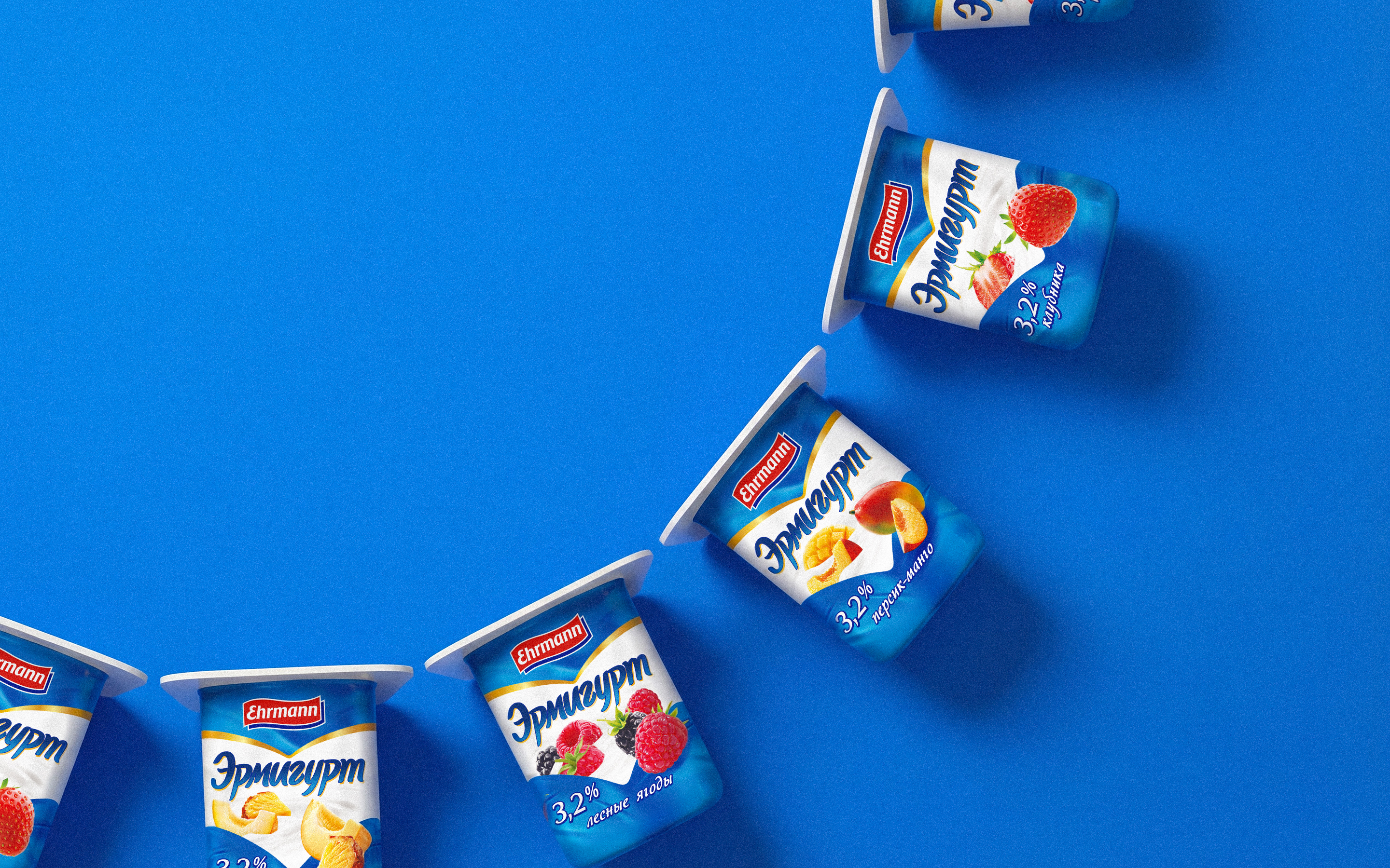 ERMIGURT EHRMANN © PACKAGING DESIGN LABEL DESIGN — Изображение №9 — Интерфейсы, Брендинг на Dprofile