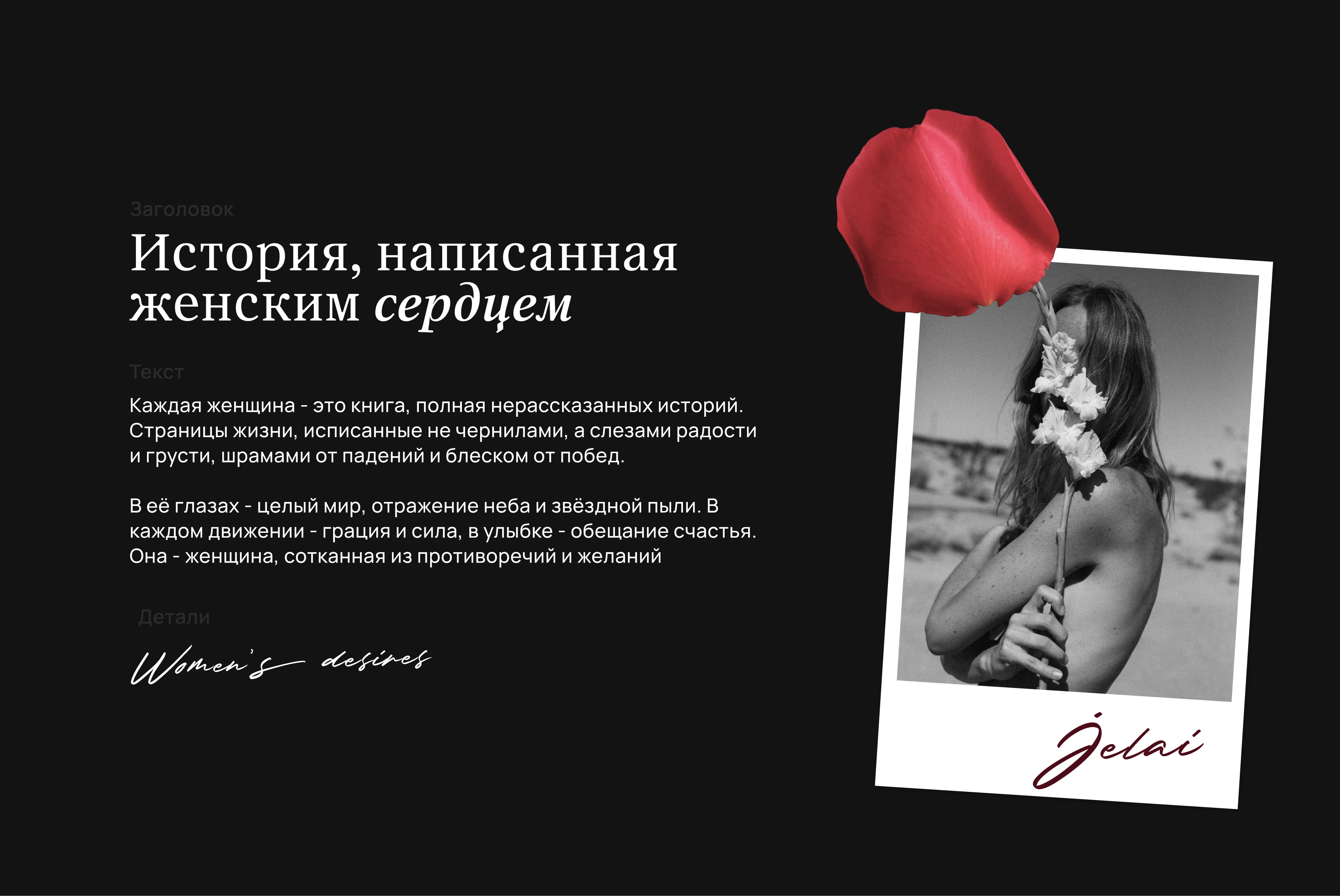 Фирменный стиль для бренда JELAI — Изображение №9 — Брендинг на Dprofile