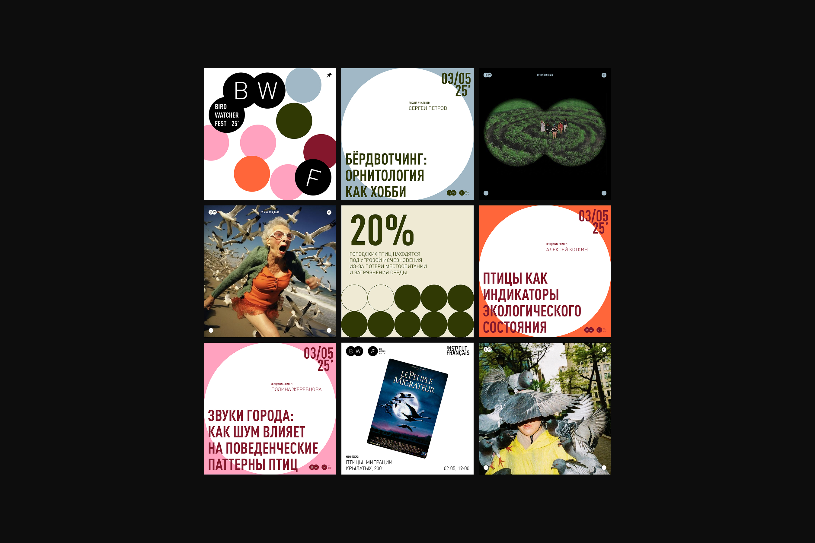 Орнитологический фестиваль — Изображение №16 — Брендинг на Dprofile